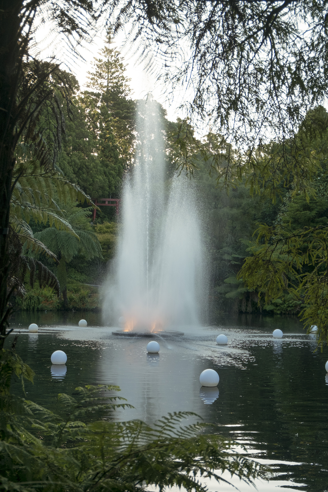 Fujifilm XC 16-50mm F3.5-5.6 OIS sample photo. Fountain in pukekura park photography
