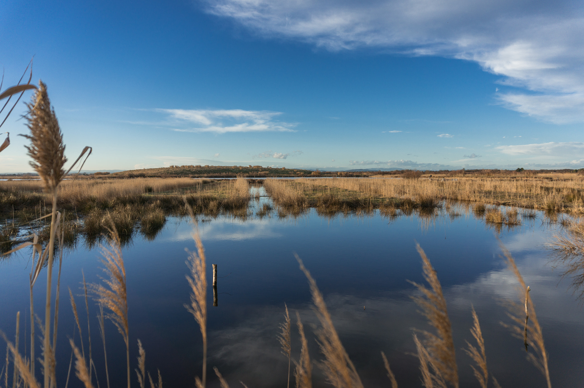 Sony Alpha NEX-5R sample photo. Landscape of camargue photography