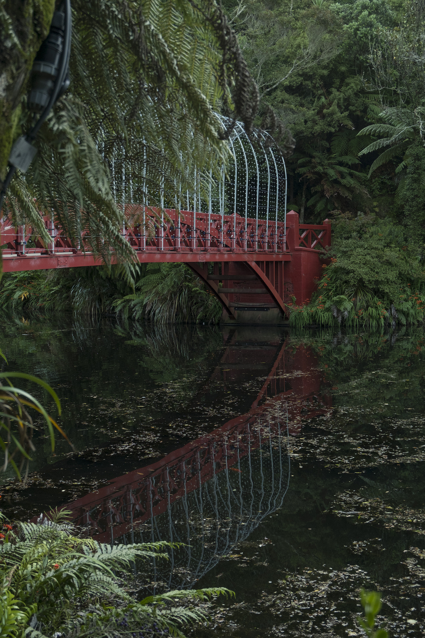 Fujifilm XC 16-50mm F3.5-5.6 OIS sample photo. Poets bridge photography
