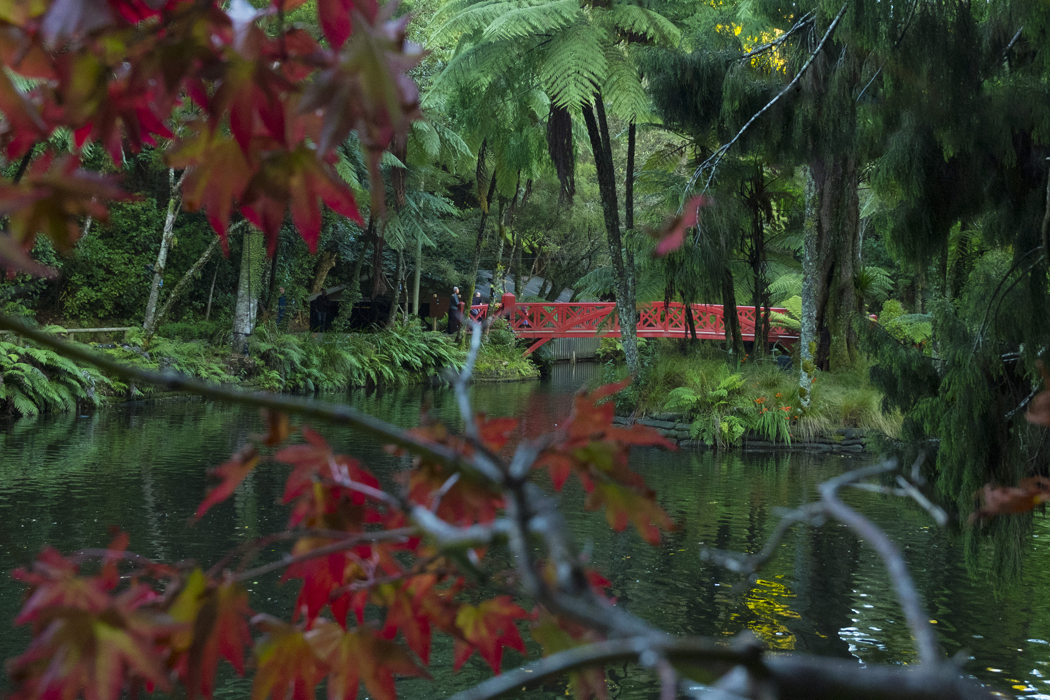 Fujifilm XC 16-50mm F3.5-5.6 OIS sample photo. Bridge at pukekura park photography