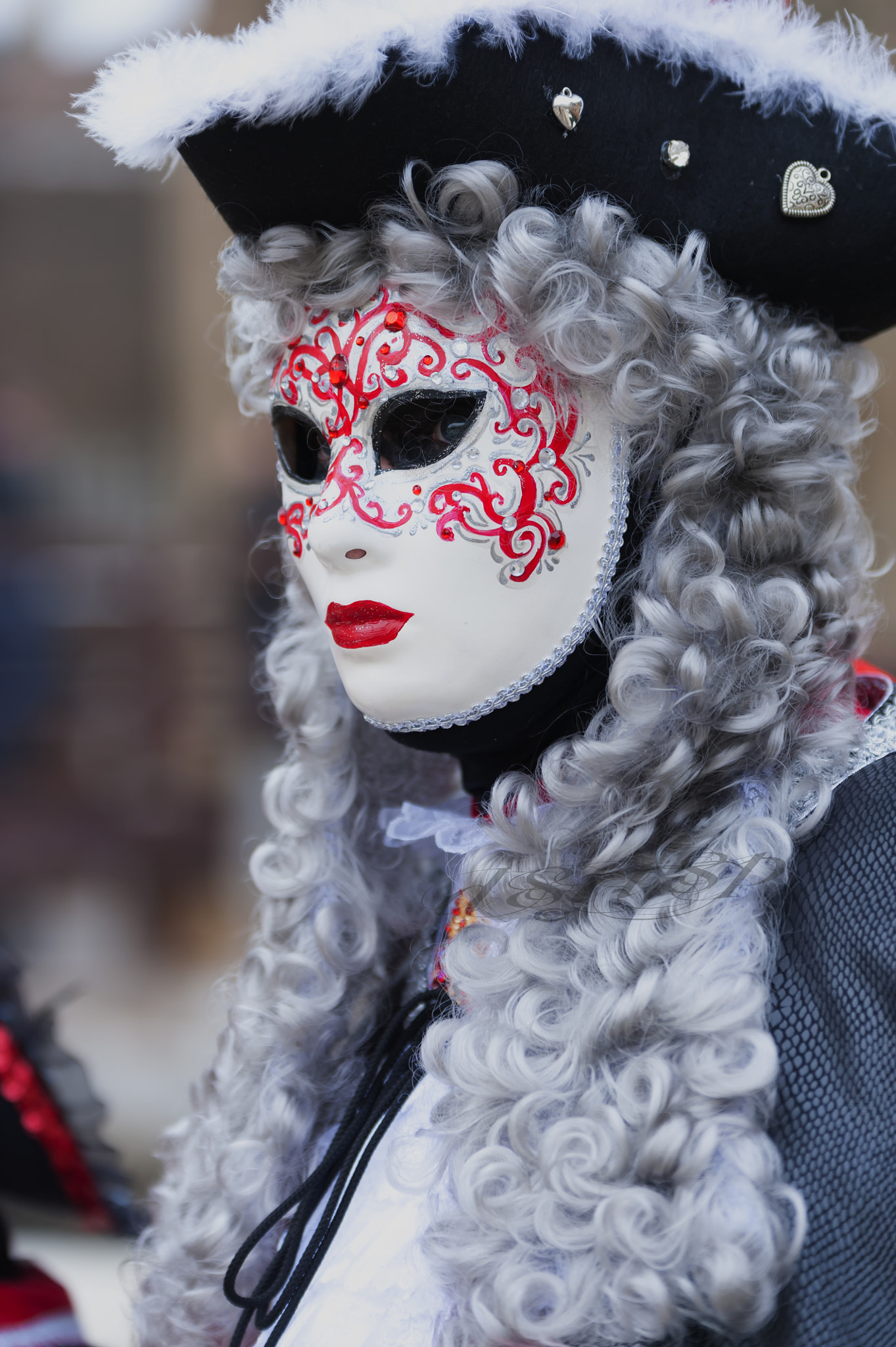 Nikon D700 + Sigma 70-200mm F2.8 EX DG OS HSM sample photo. " carnalal  a venise " photography