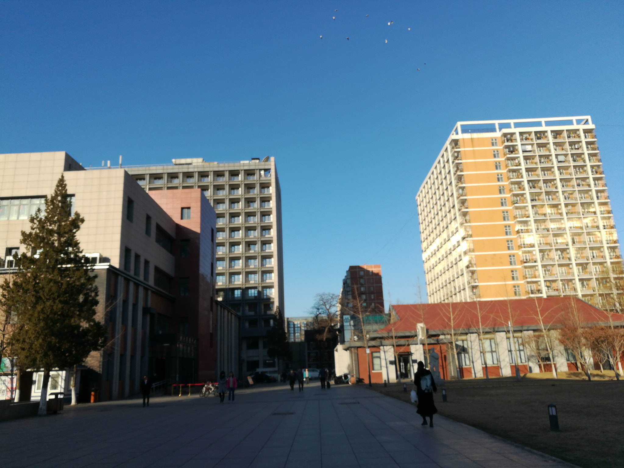 HUAWEI c??Eu?s 6X sample photo. 北京蓝 photography
