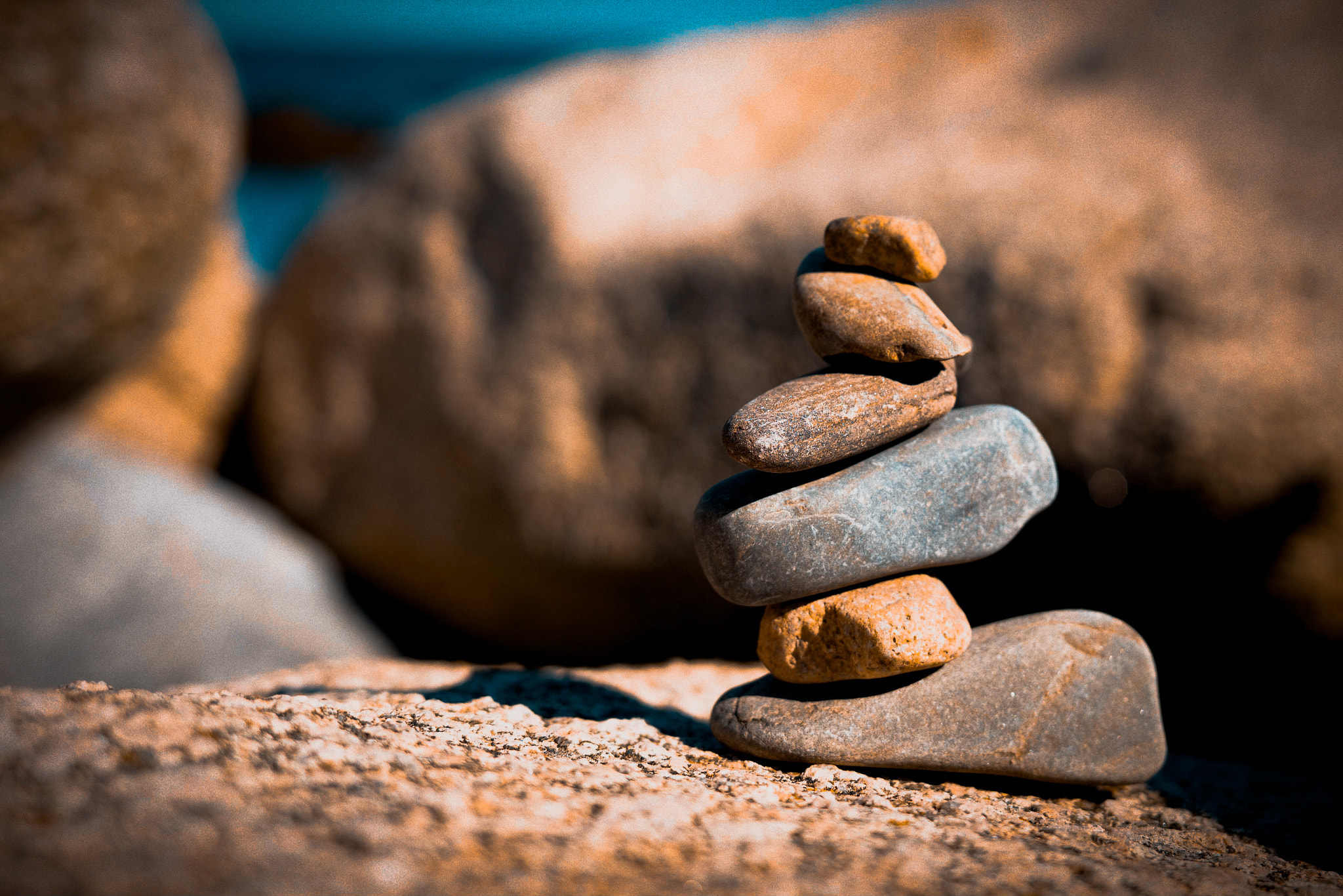 E 35mm F2 sample photo. Balance in nature ii photography