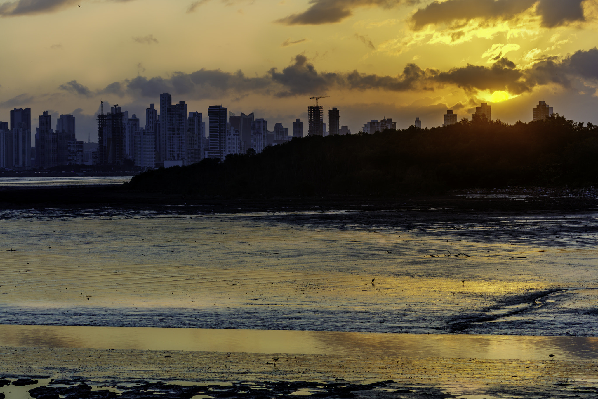 Canon EF 100-400mm F4.5-5.6L IS USM sample photo. The wetlands and the city photography