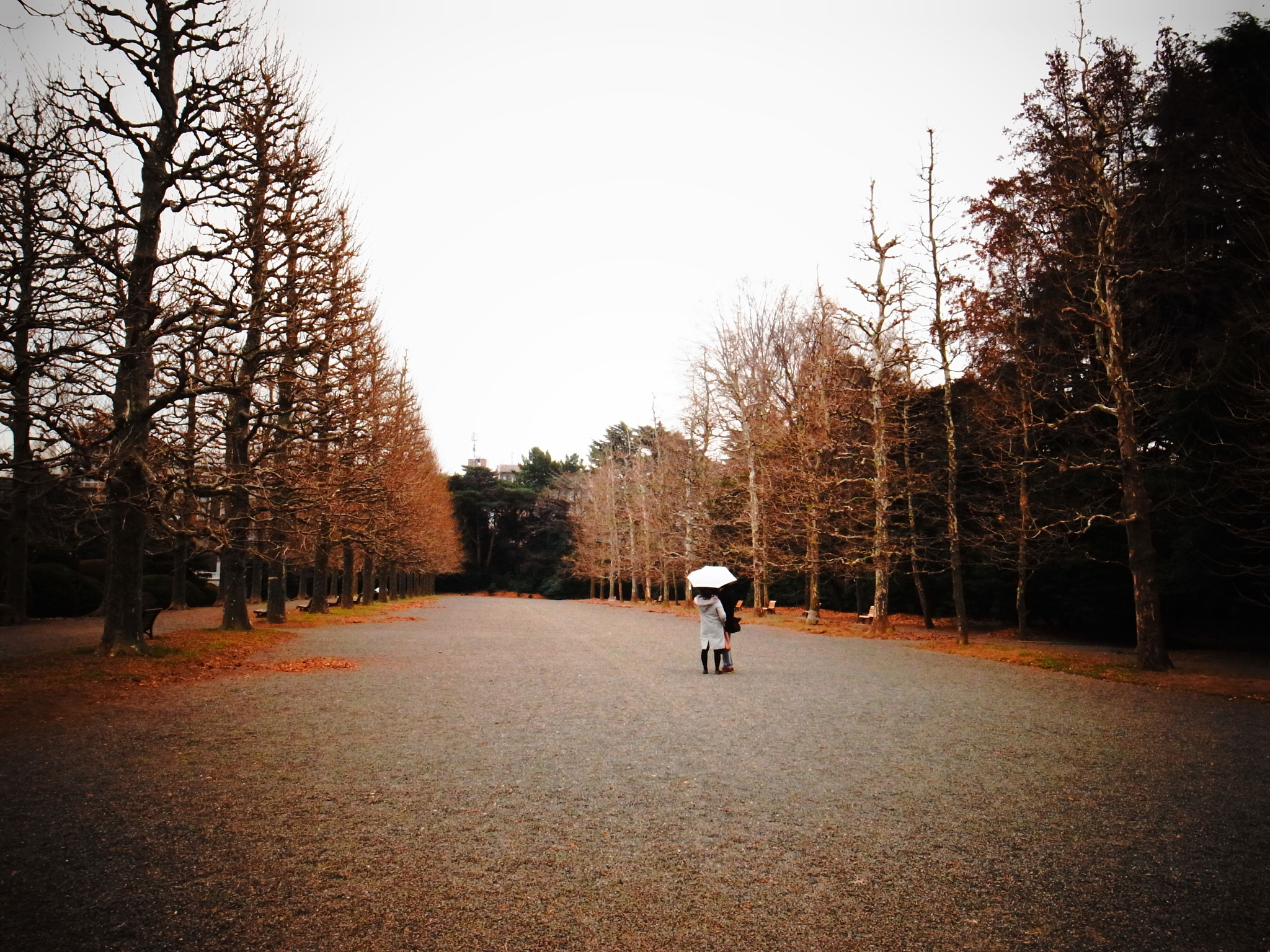 Ricoh GR DIGITAL 4 sample photo. Couple photography