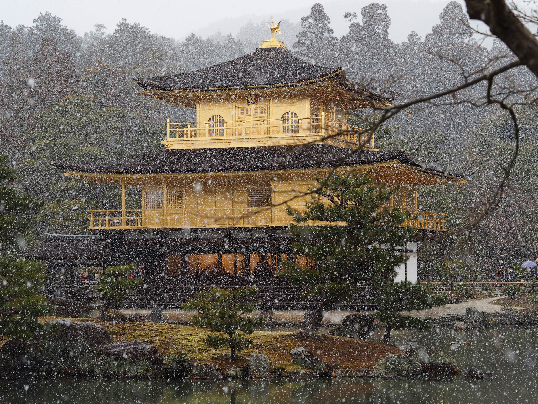 Olympus OM-D E-M1 sample photo. Kinkakuji in the snow photography