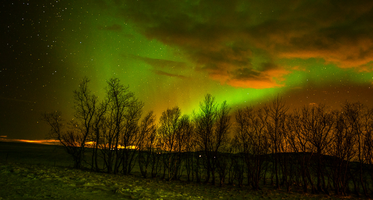 Tamron SP 15-30mm F2.8 Di VC USD sample photo. Aurora borealis in iceland photography
