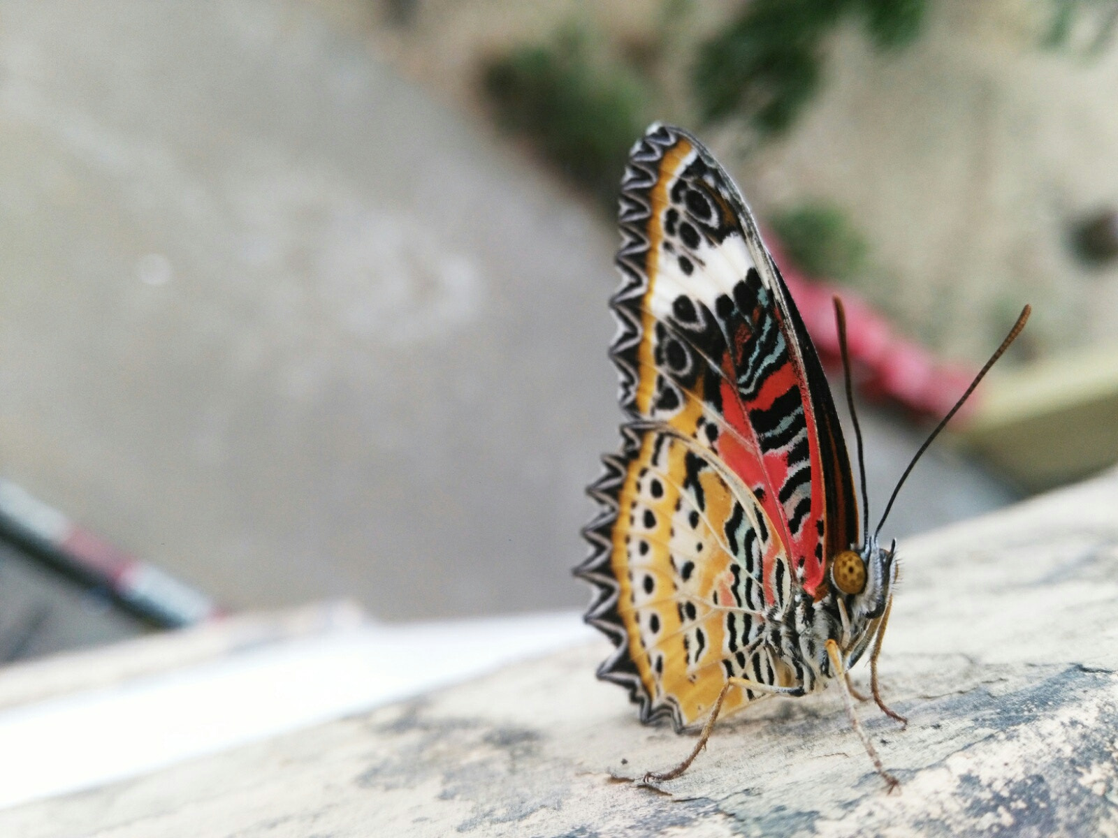 HUAWEI GR5 sample photo