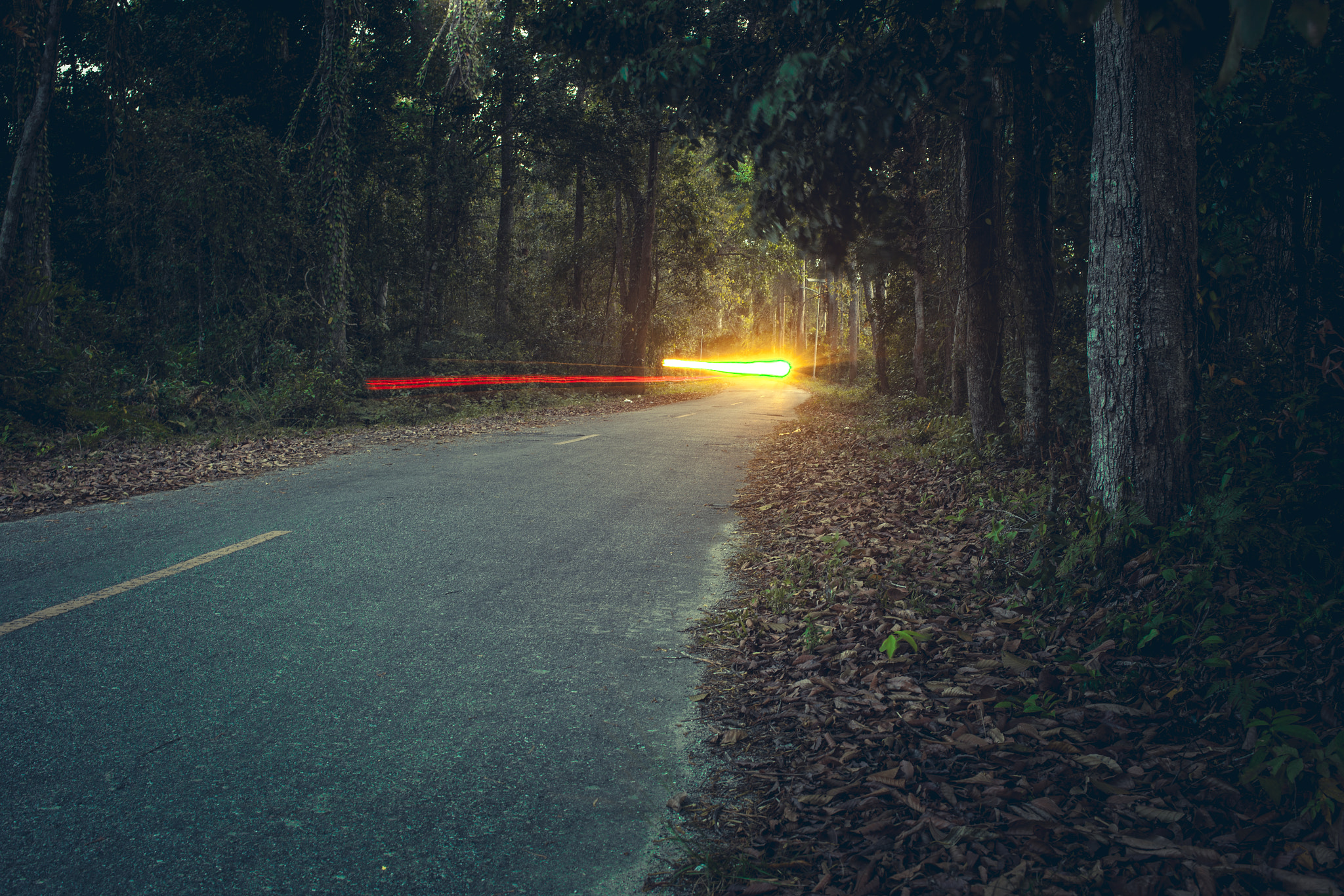Canon EF 40mm F2.8 STM sample photo. On the way  photography