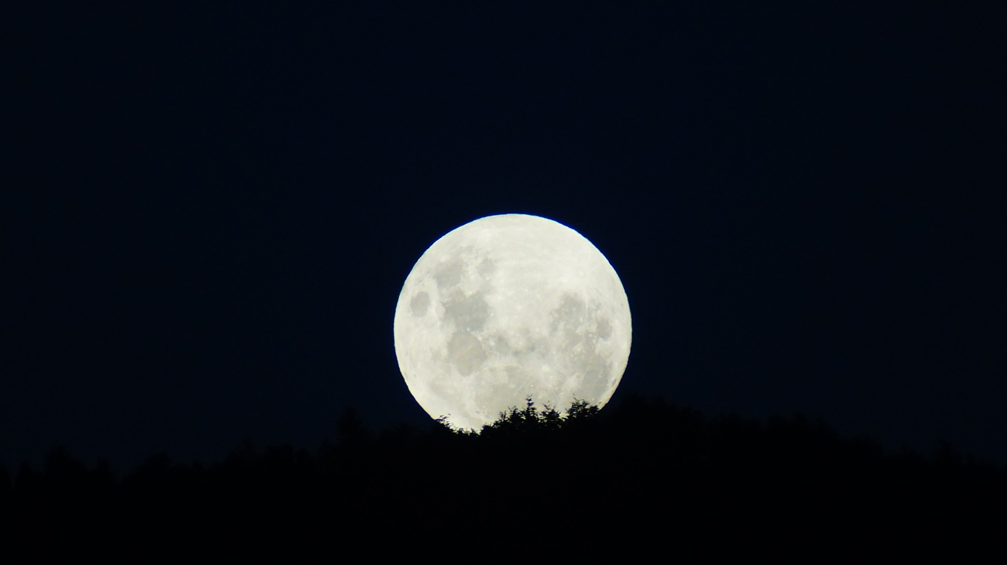 Sony 75-300mm F4.5-5.6 sample photo. Dsc photography