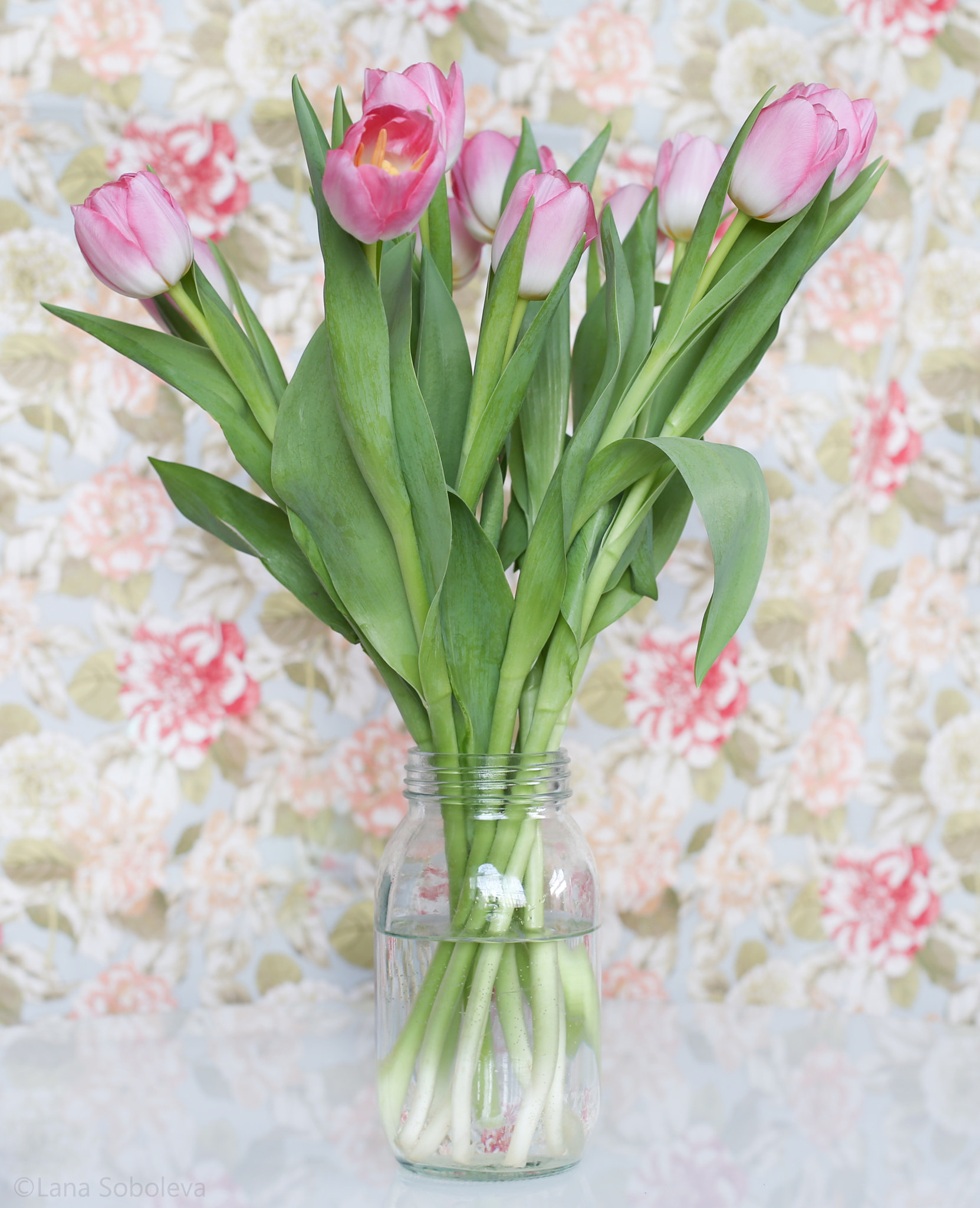 Canon EOS-1D X sample photo. Spring is in the air... photography