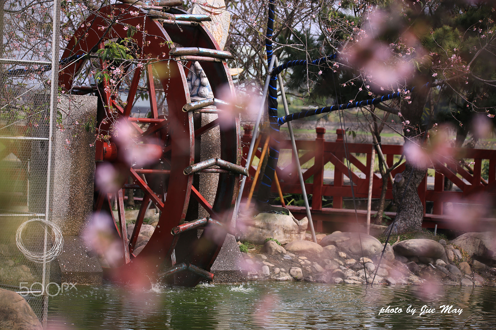 150-600mm F5-6.3 DG OS HSM | Contemporary 015 sample photo. 芬園櫻花林 photography