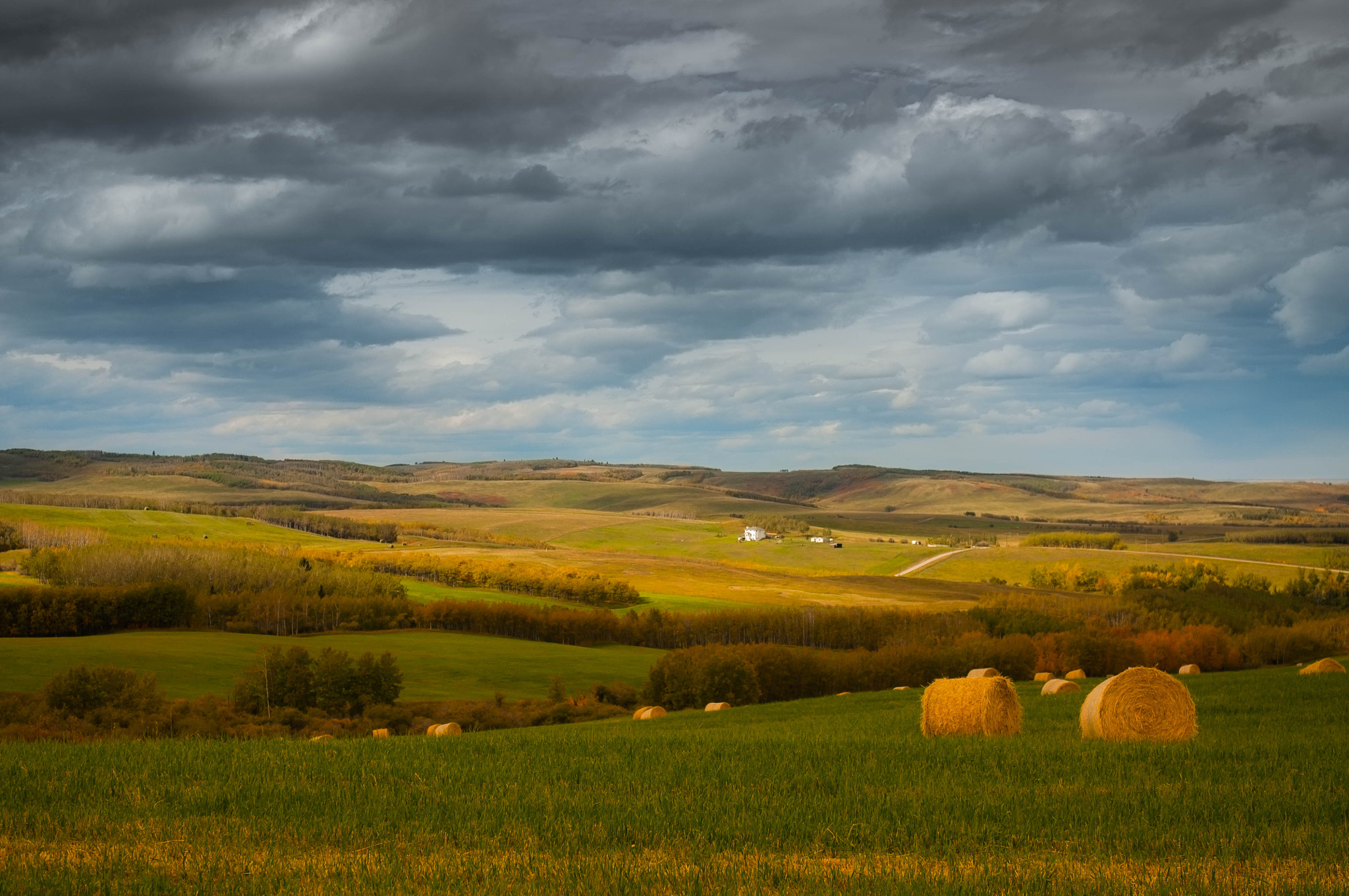 Nikon AF-S Nikkor 24-70mm F2.8G ED sample photo. Outside calgary photography