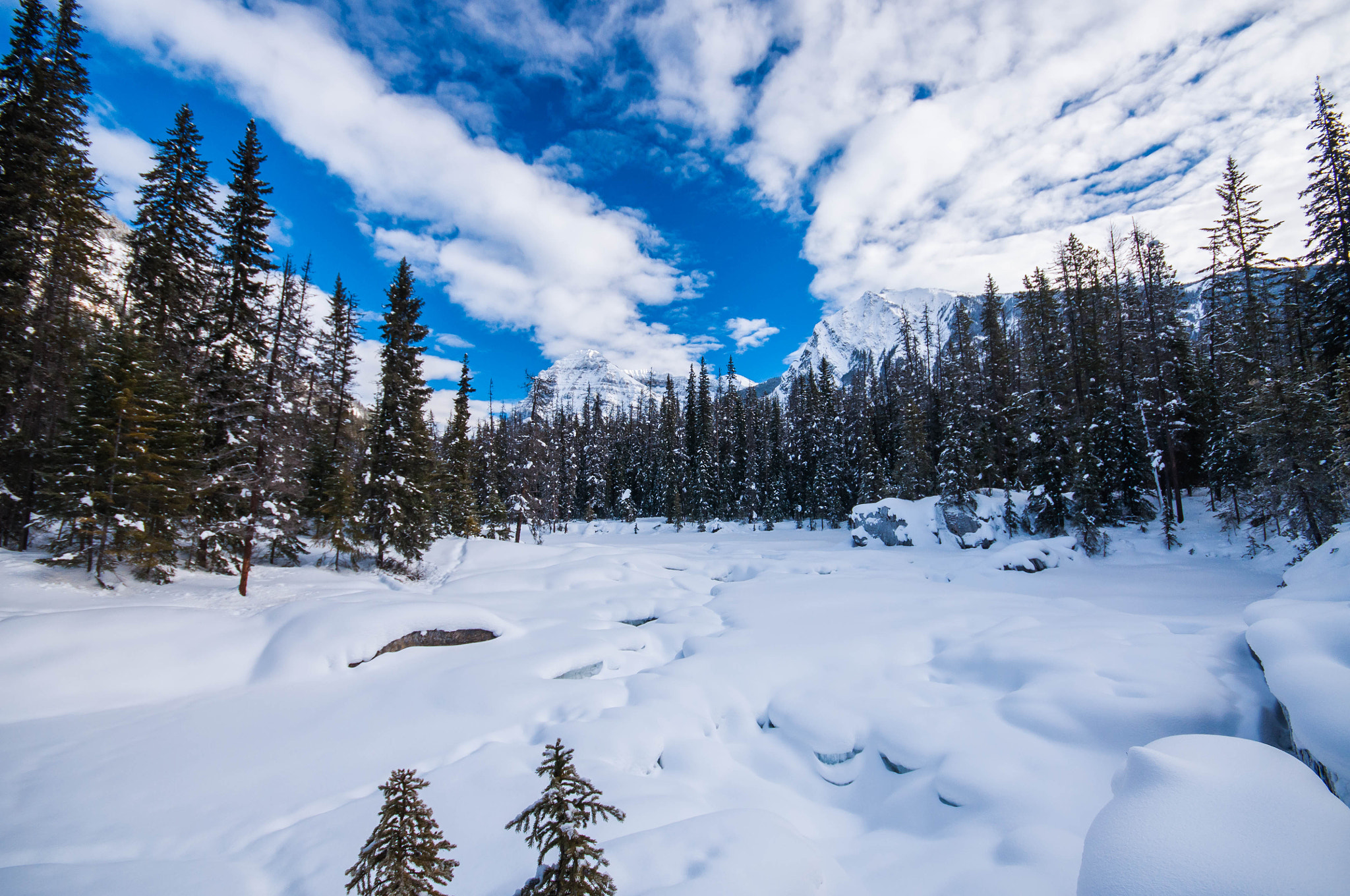 Sigma 10-20mm F4-5.6 EX DC HSM sample photo. Enough snow to share with everyone photography