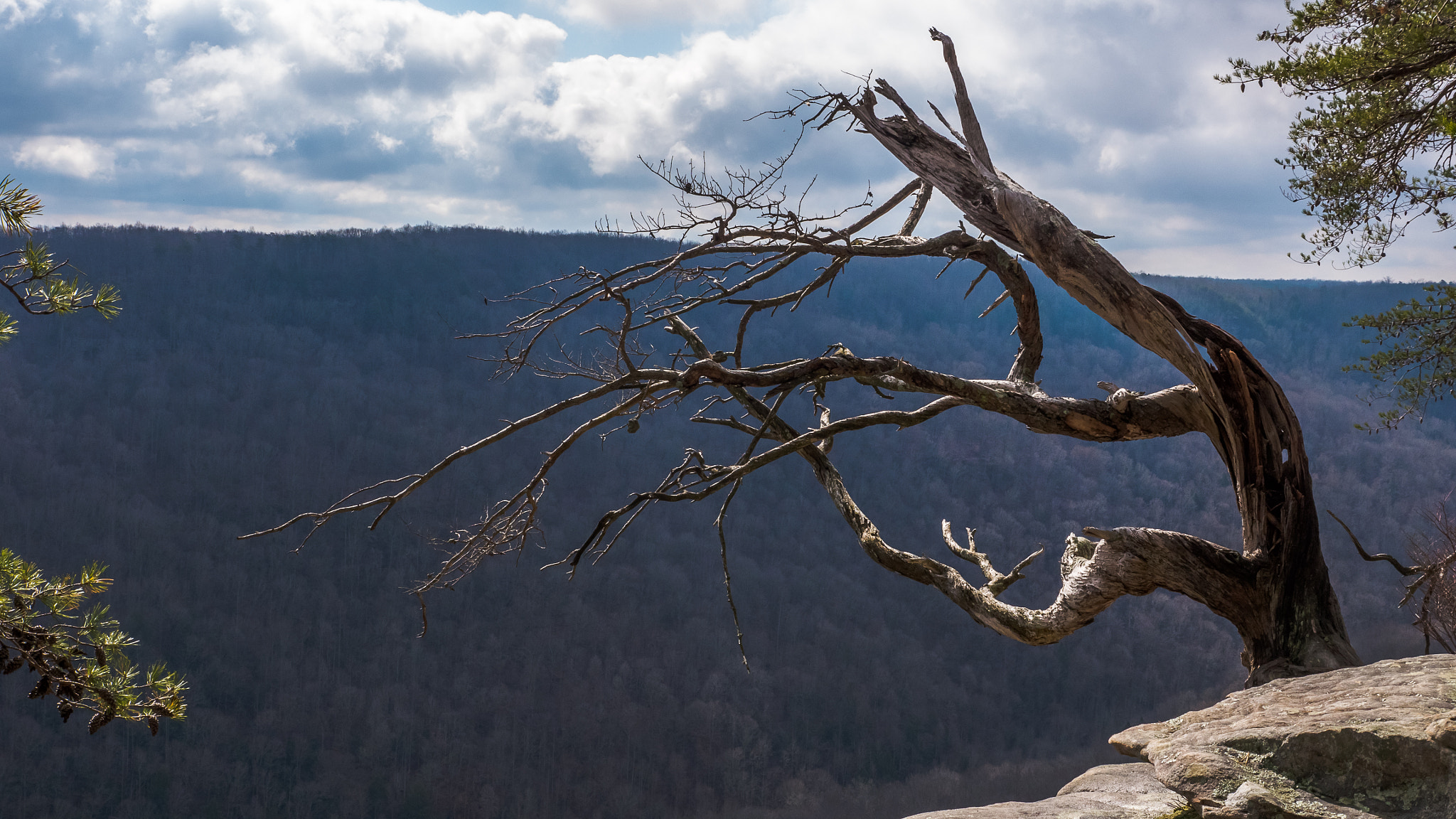 Panasonic Lumix DMC-GH4 sample photo. Like life, the higher you climb the more alone you ... photography