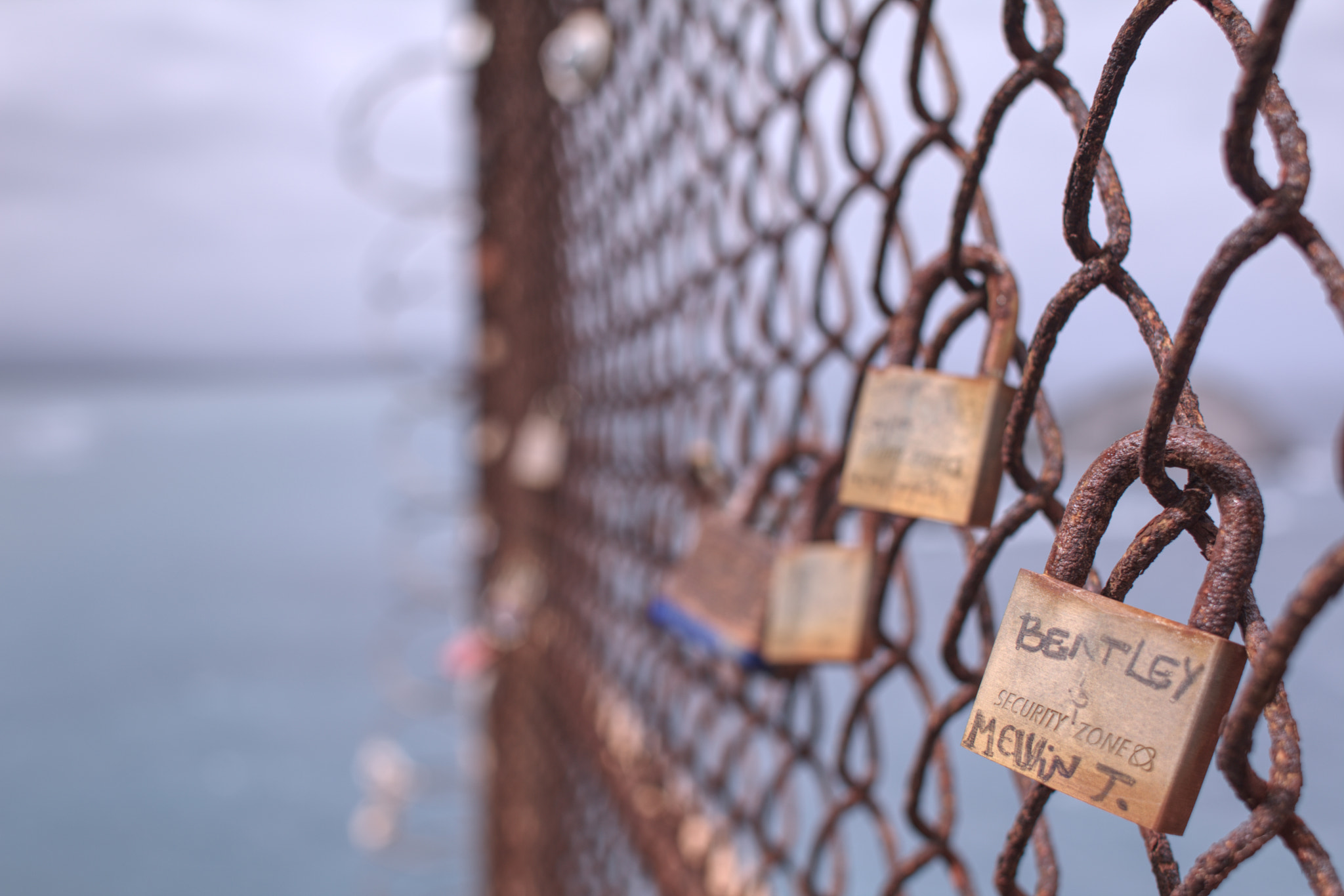 Canon EOS 70D + Canon EF 28mm F1.8 USM sample photo. Rusty love locks photography