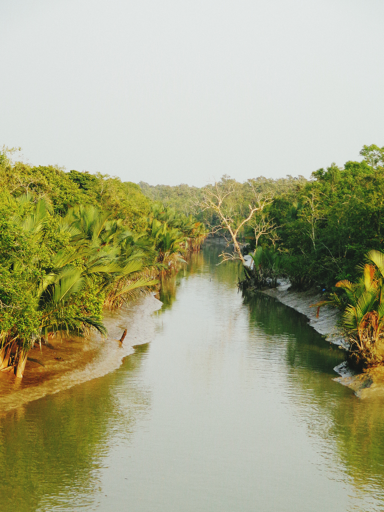 Sony Cyber-shot DSC-W690 sample photo. Sundarban photography