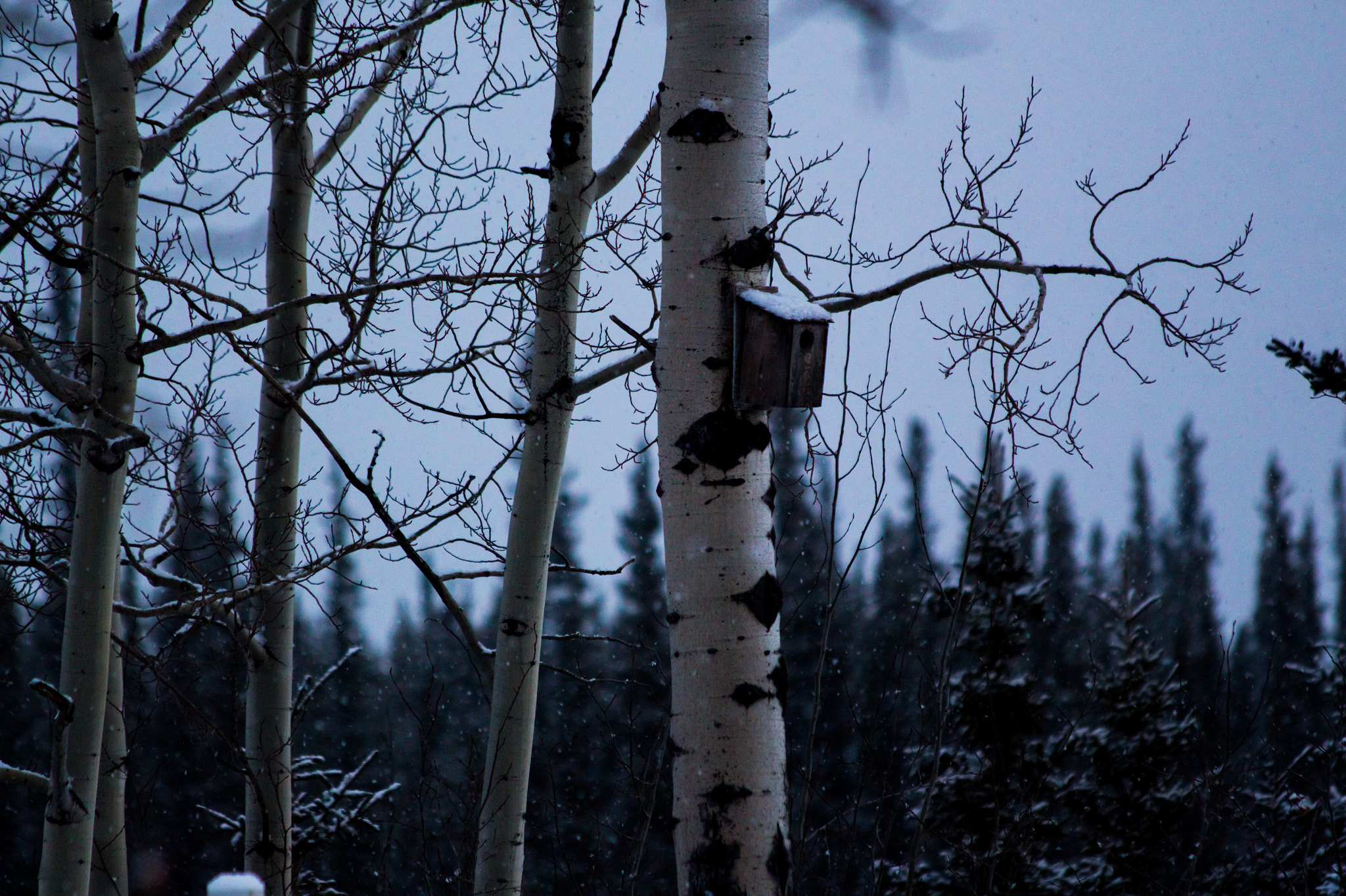 Canon EF 70-300mm F4-5.6 IS USM sample photo. Lonely house photography