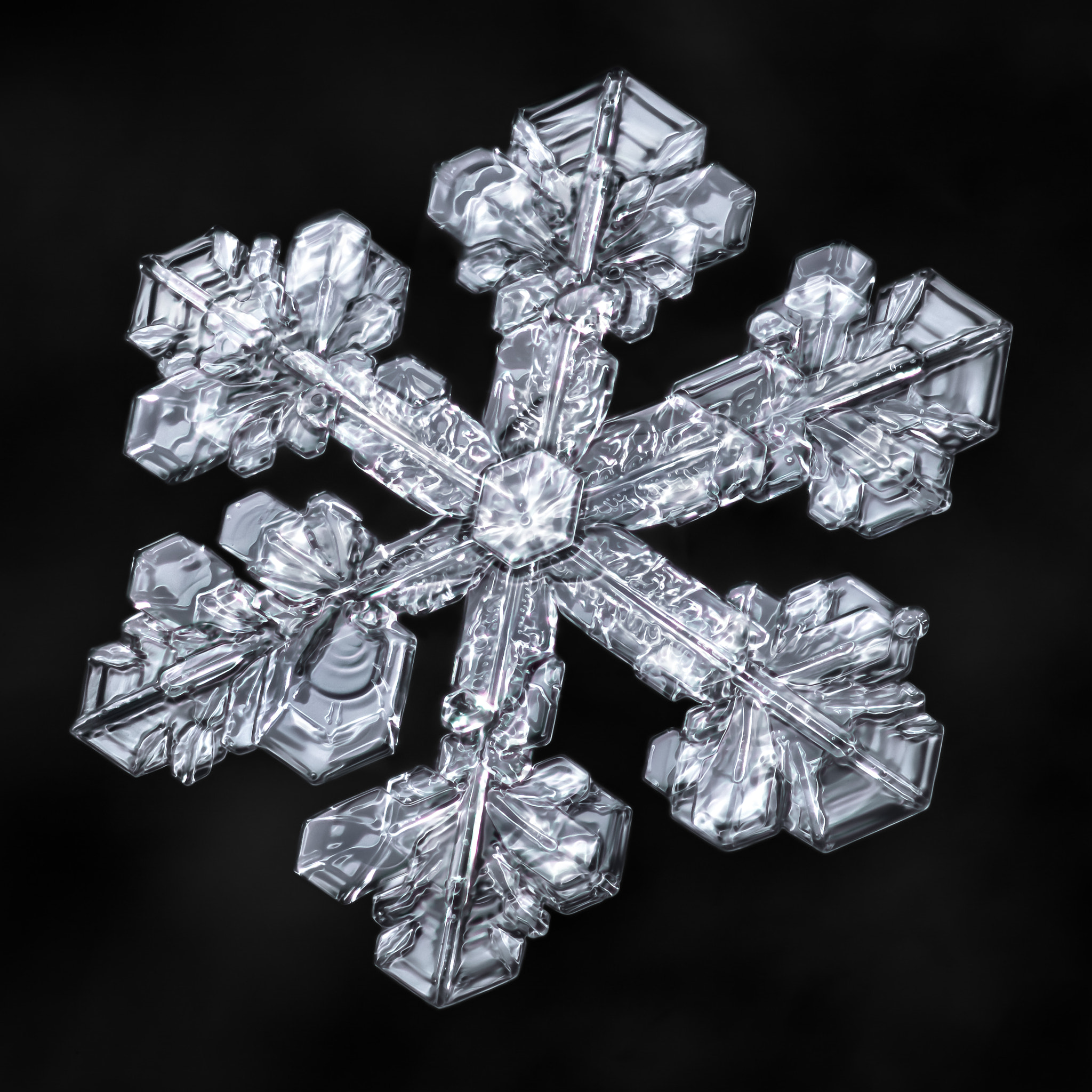 Canon MP-E 65mm F2.5 1-5x Macro Photo sample photo. Snowflake-a-day #56 photography