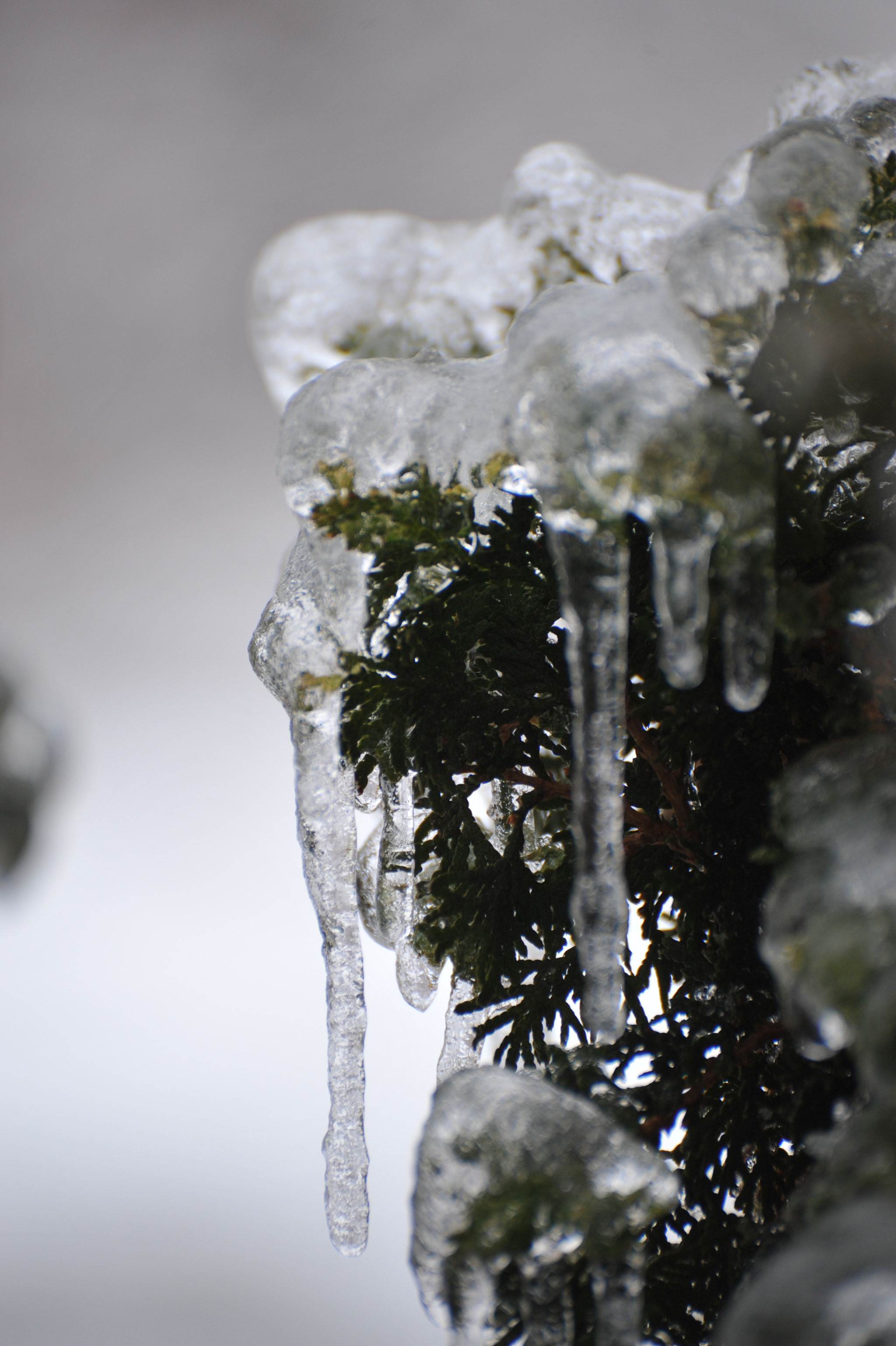Nikon D700 sample photo. Untitled photography
