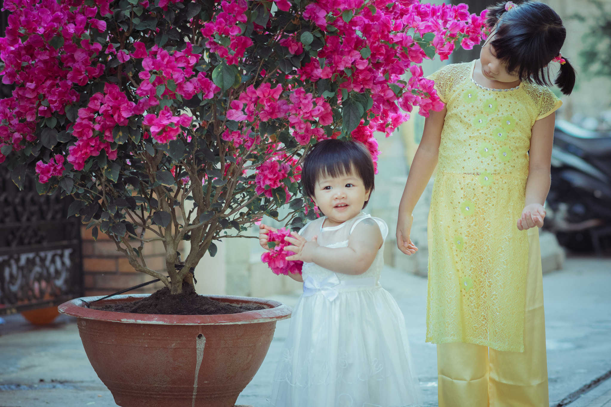 Nikon D5300 + Nikon AF-S Nikkor 85mm F1.8G sample photo