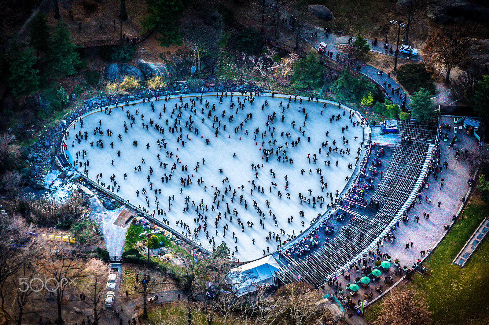 Nikon D3S sample photo. Ice skating in central park - birds eye view photography