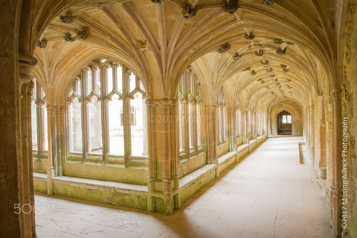 Canon EOS 7D + Canon EF 16-35mm F2.8L USM sample photo. Lacock abbey cloisters, wiltshire, england, uk. photography