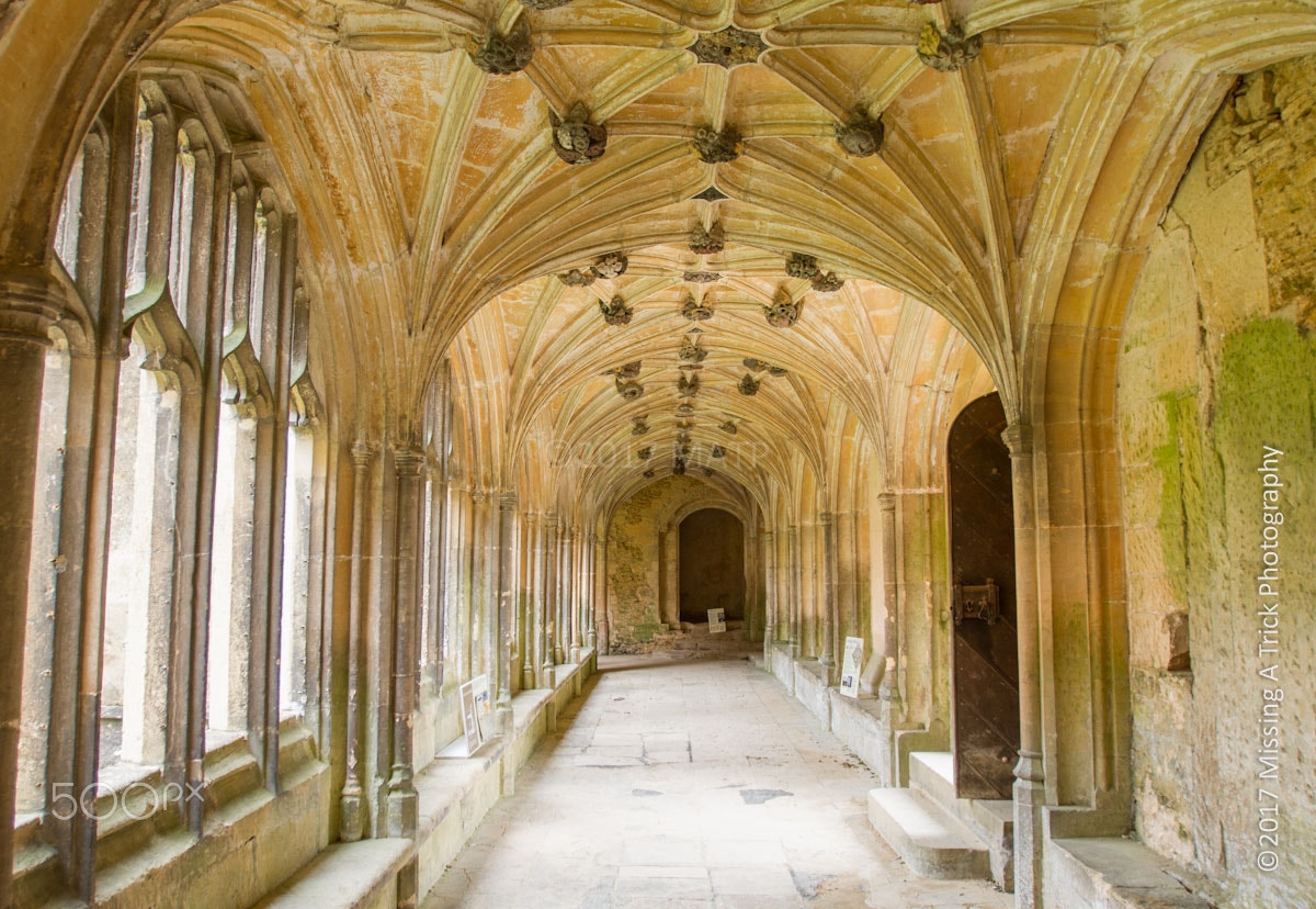 Canon EOS 7D + Canon EF 16-35mm F2.8L USM sample photo. Lacock abbey, wiltshire, england, uk. photography