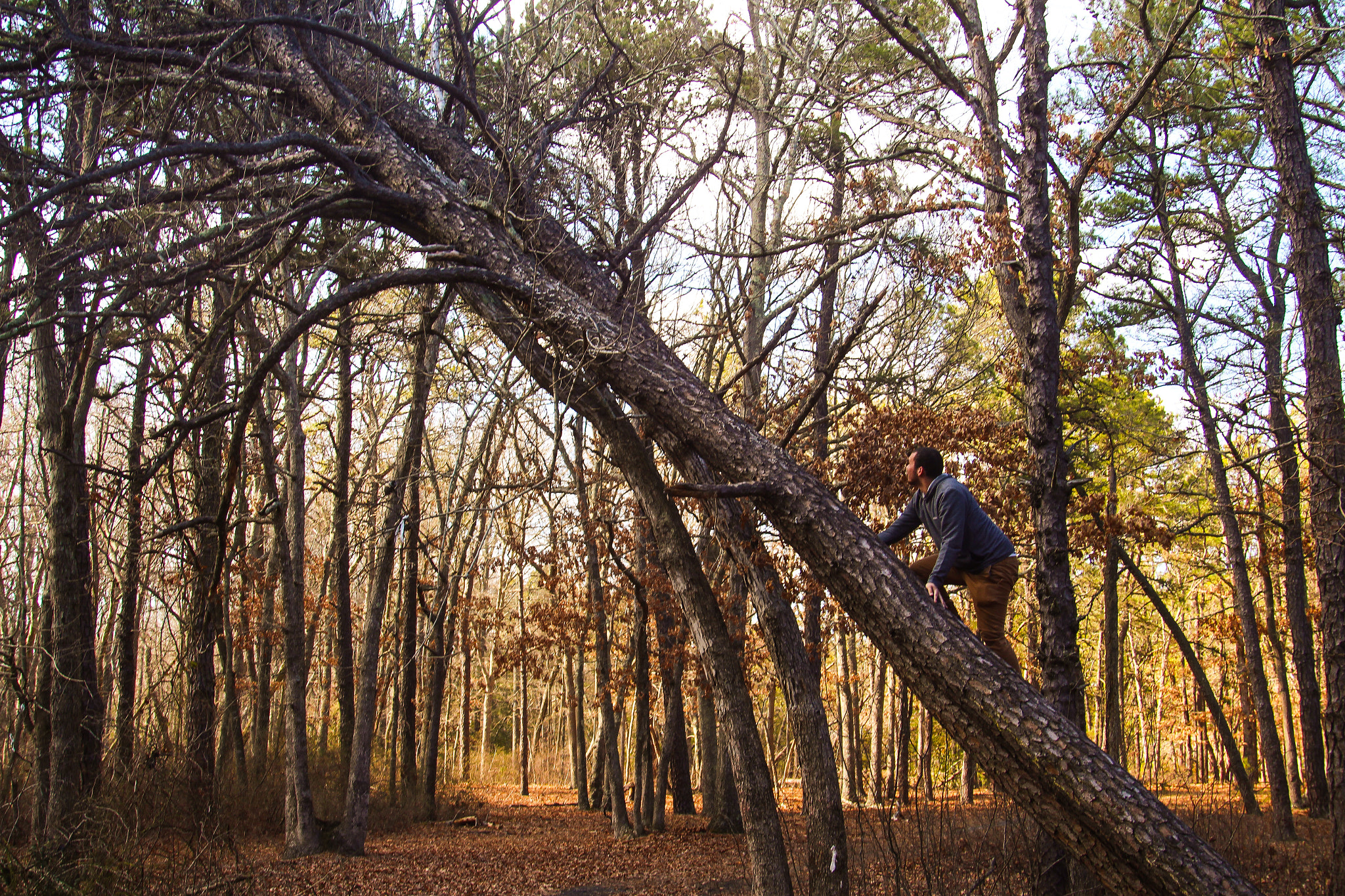 Canon EOS 700D (EOS Rebel T5i / EOS Kiss X7i) + Canon EF 35-105mm f/4.5-5.6 sample photo. Reach new heights photography