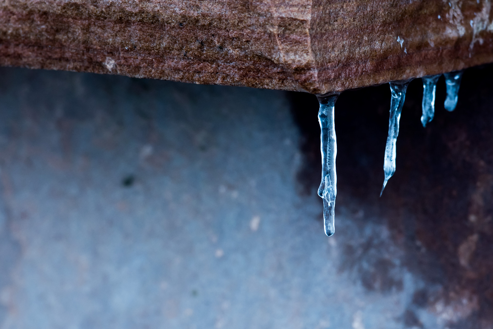 Nikon AF-S Nikkor 70-200mm F2.8G ED VR II sample photo. Tiny icicle photography