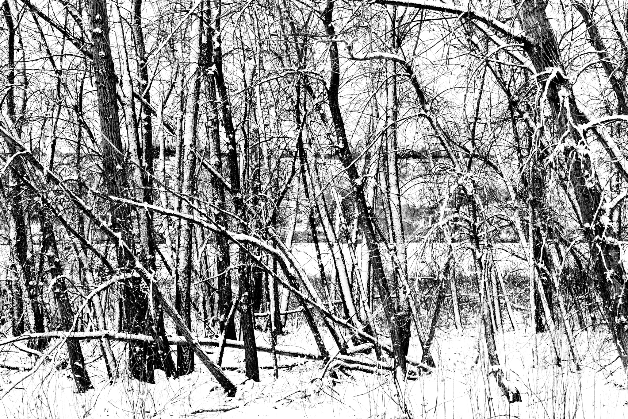 Nikon AF-S Nikkor 70-200mm F2.8G ED VR II sample photo. Snow blasted photography