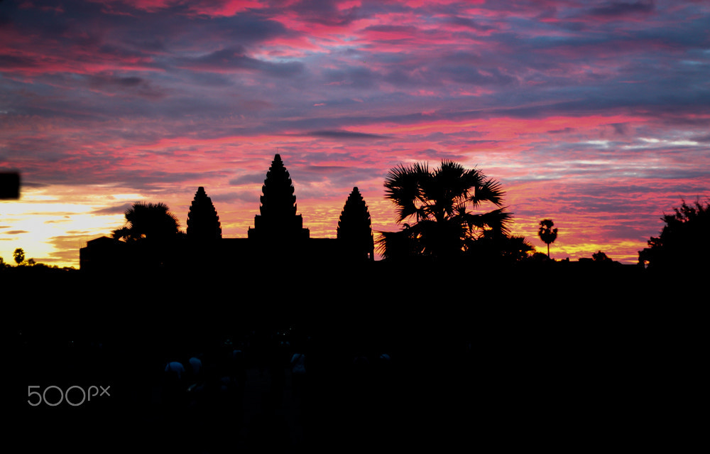 Canon EOS 450D (EOS Rebel XSi / EOS Kiss X2) sample photo. Angkor wat at the sunrise photography