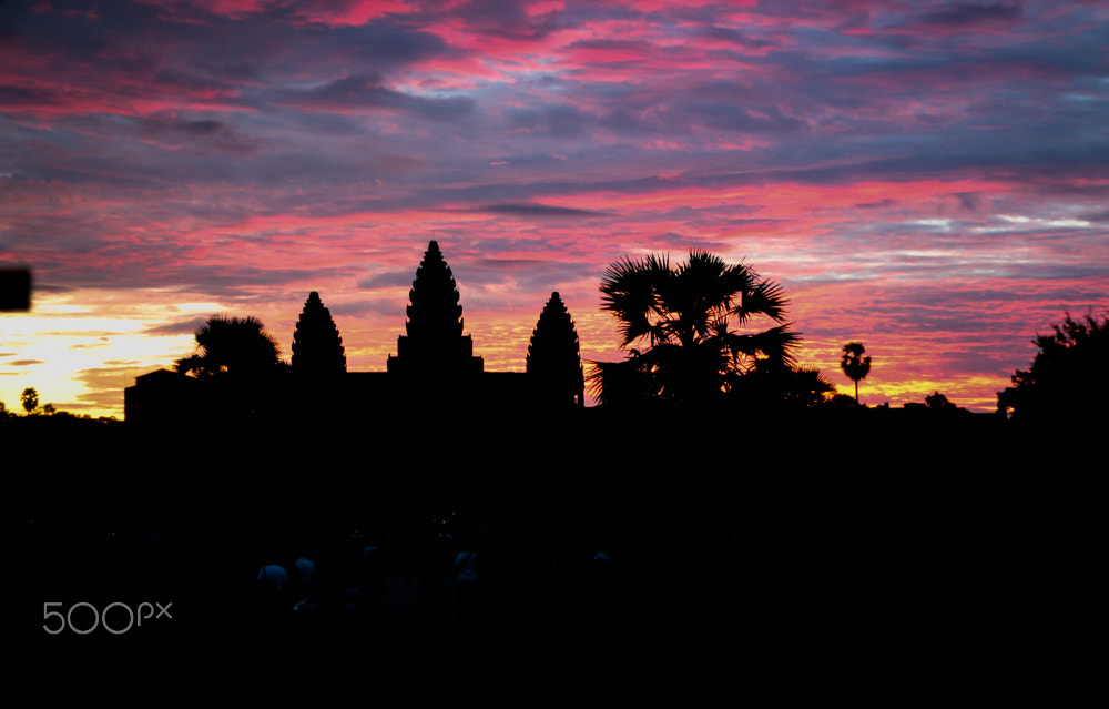 Canon EOS 450D (EOS Rebel XSi / EOS Kiss X2) + Canon EF 50mm F1.8 II sample photo. Angkor wat at the sunrise photography