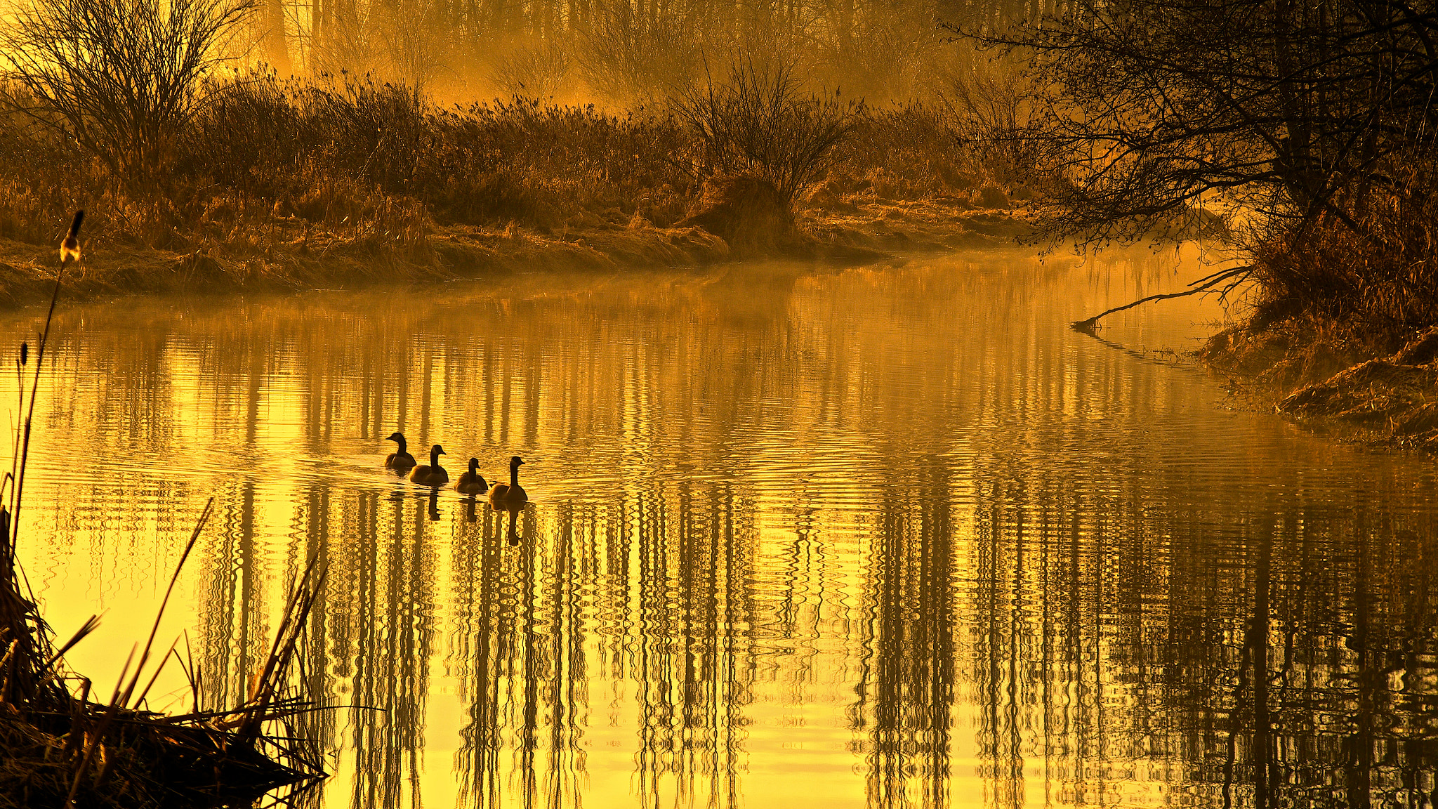 Pentax K-5 + Pentax smc DA 55-300mm F4.0-5.8 ED sample photo. On a lazy golden river photography