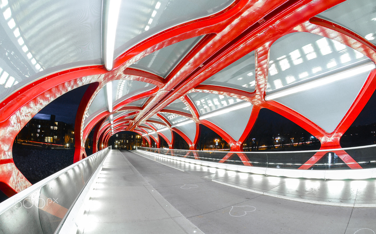 Nikon AF DX Fisheye-Nikkor 10.5mm F2.8G ED sample photo. Peace bridge photography