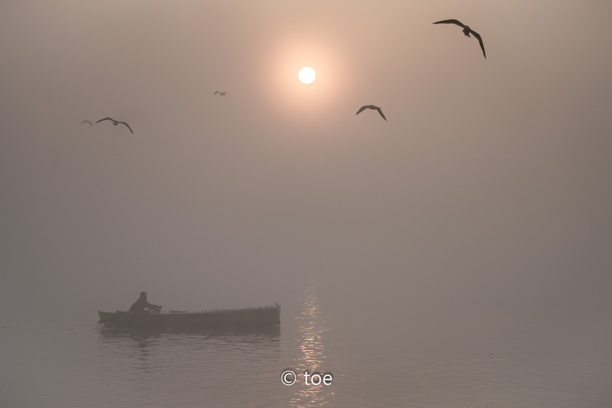Canon EF 70-200mm F2.8L USM sample photo. Ganges photography
