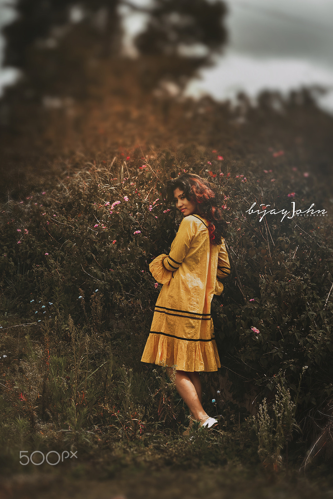 Sigma 70-200mm F2.8 EX DG OS HSM sample photo. Warm haven queen photography