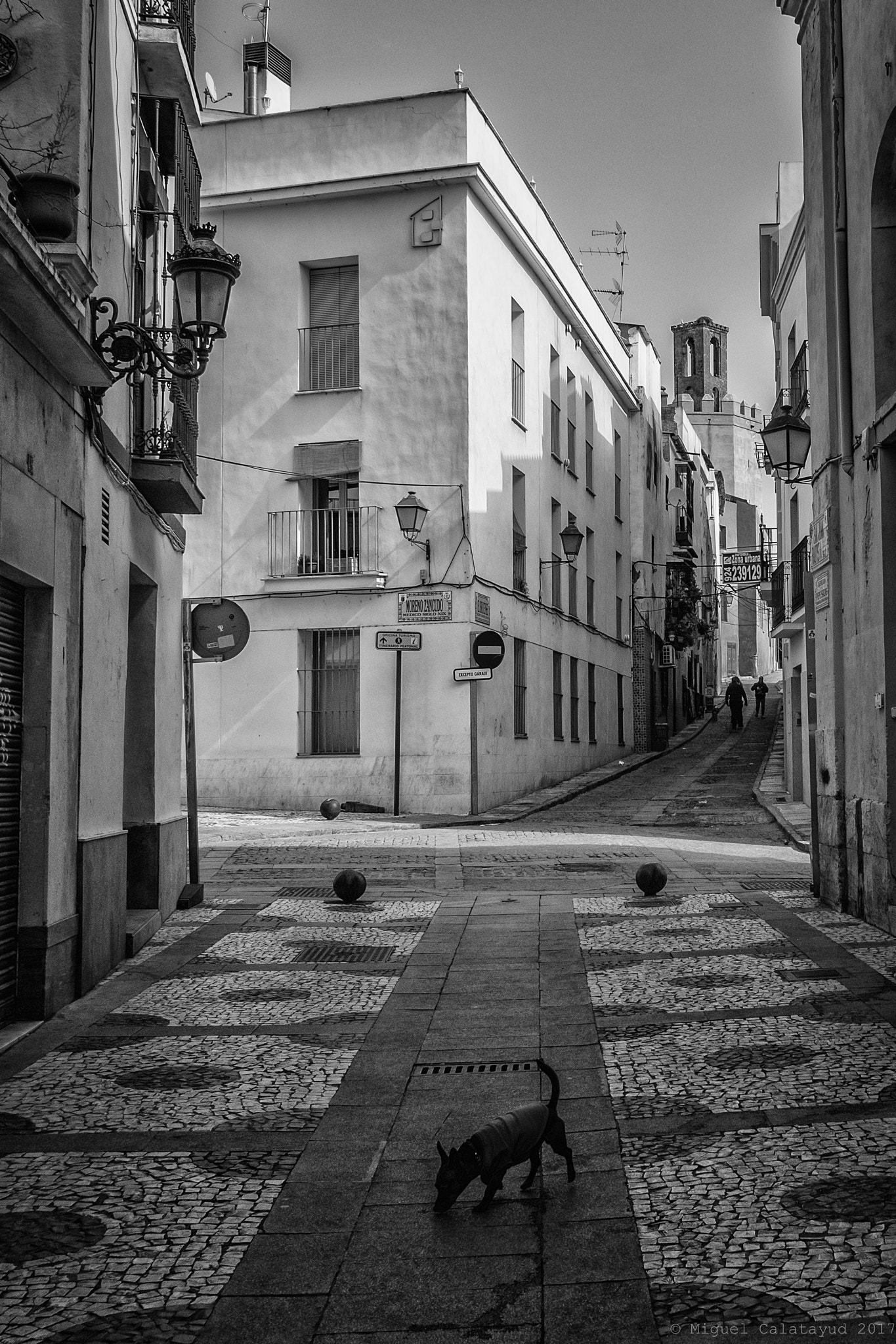 Fujifilm X-Pro2 + Fujifilm XF 18mm F2 R sample photo. Badajoz 2017 photography