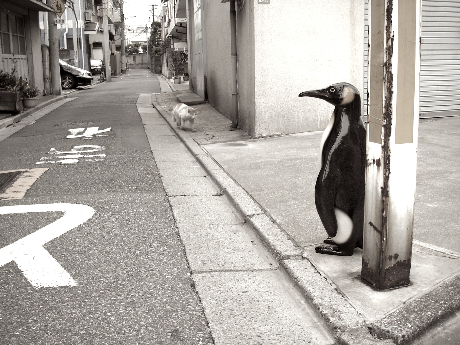 KONICA MINOLTA DiMAGE X60 sample photo. First kind approaching encounter photography