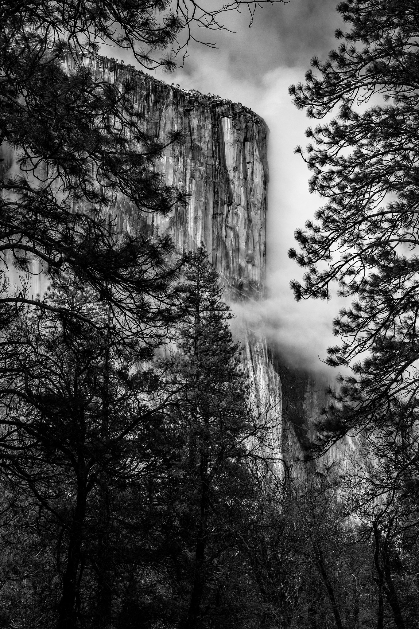 Sigma 18-250mm F3.5-6.3 DC OS HSM sample photo. El capitan photography