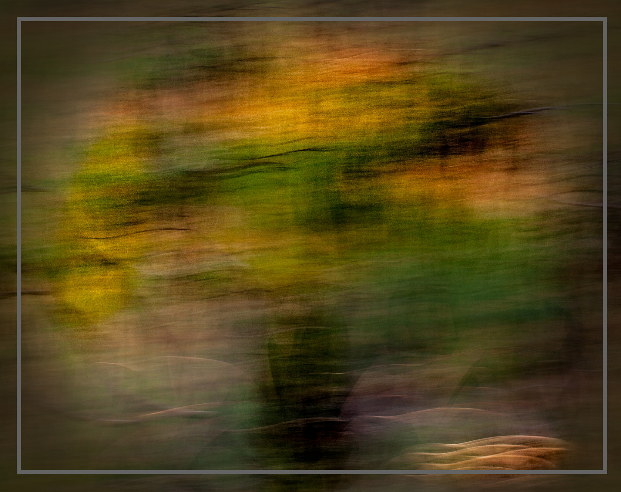 Canon EOS 5D Mark II sample photo. Colour tree photography