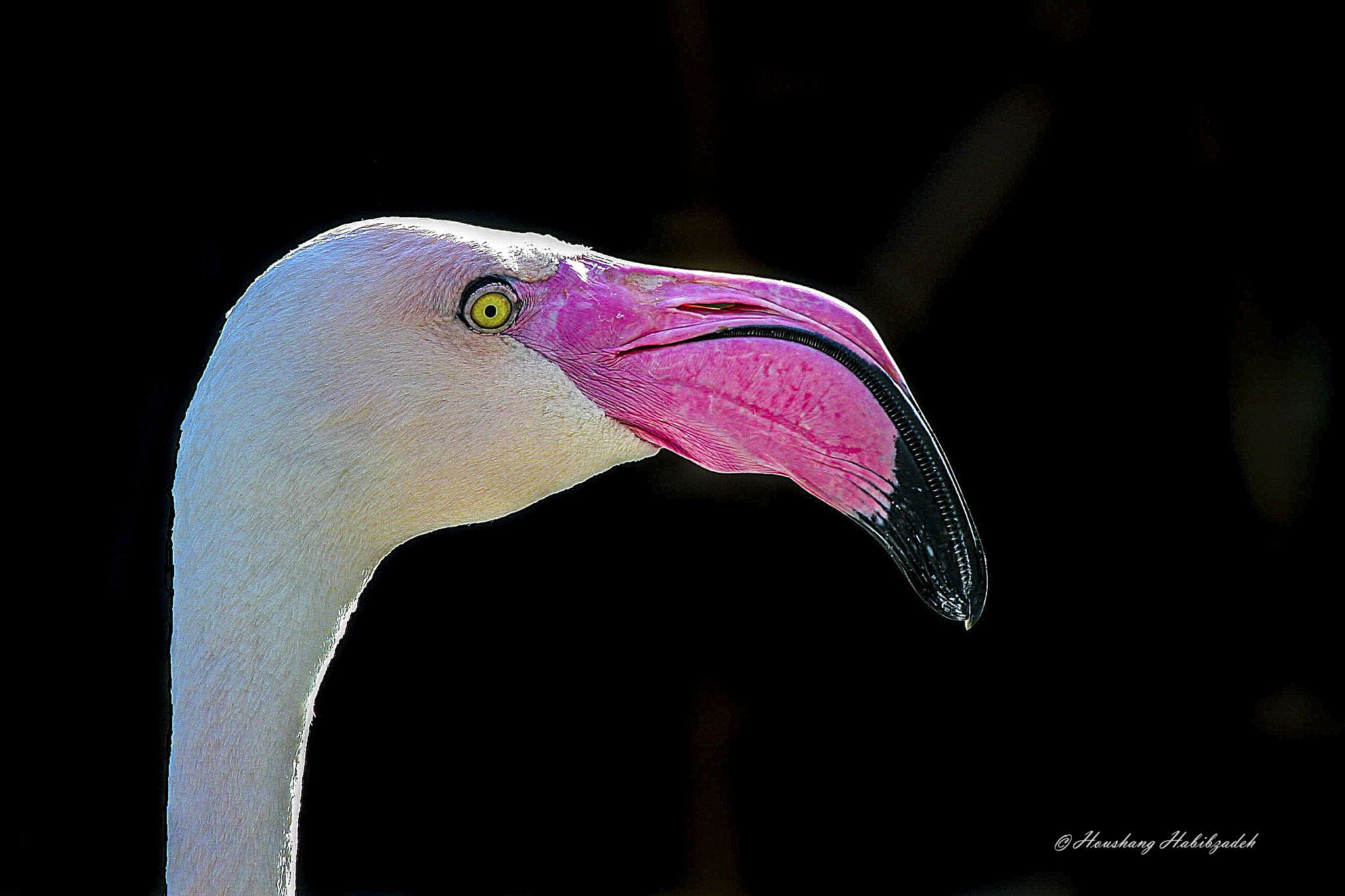 Canon EOS 30D sample photo. Am i beautiful? photography