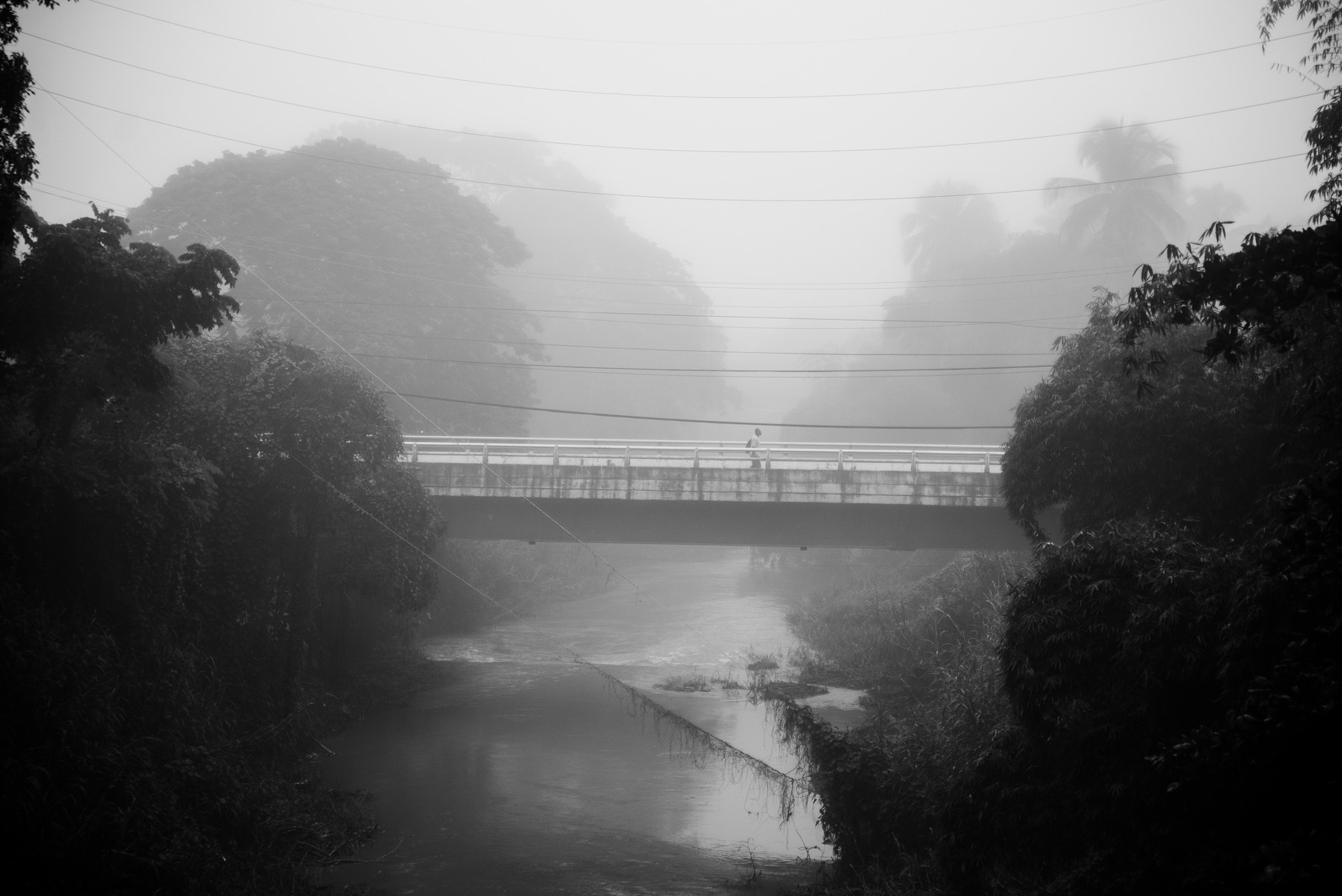 Nikon D600 sample photo. Look closer photography