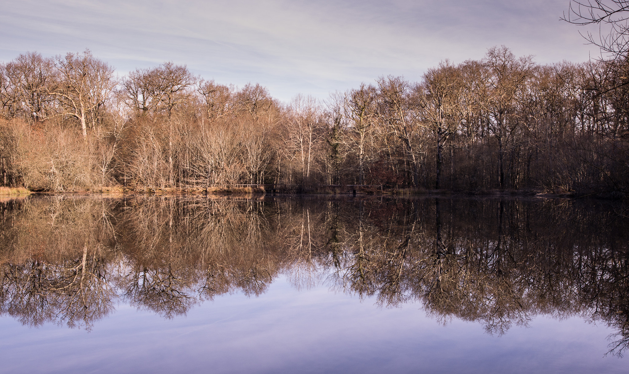 Pentax K-5 sample photo. Mirror on the lake photography