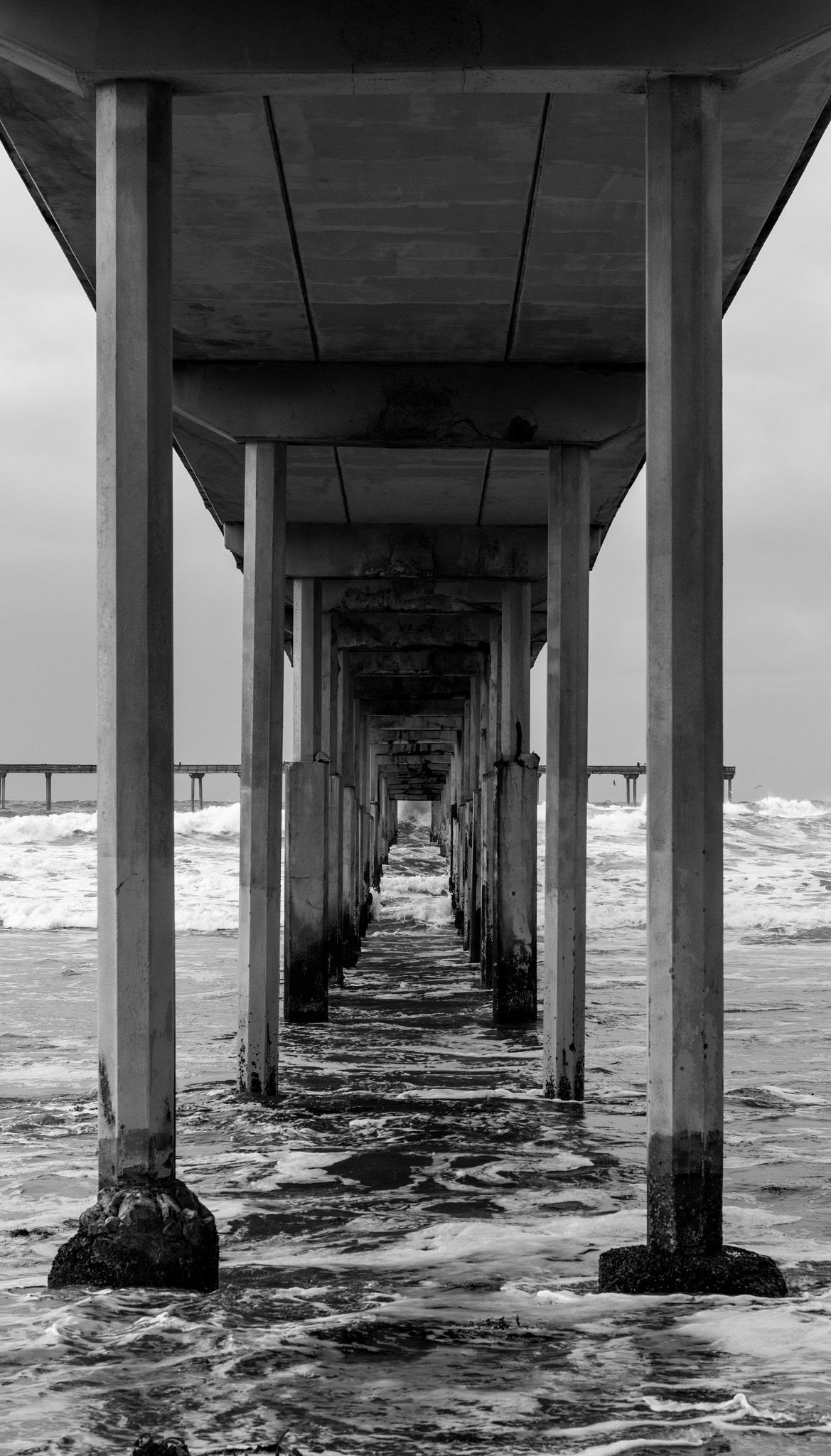 Canon EOS 1300D (EOS Rebel T6 / EOS Kiss X80) sample photo. Dog beach pier photography