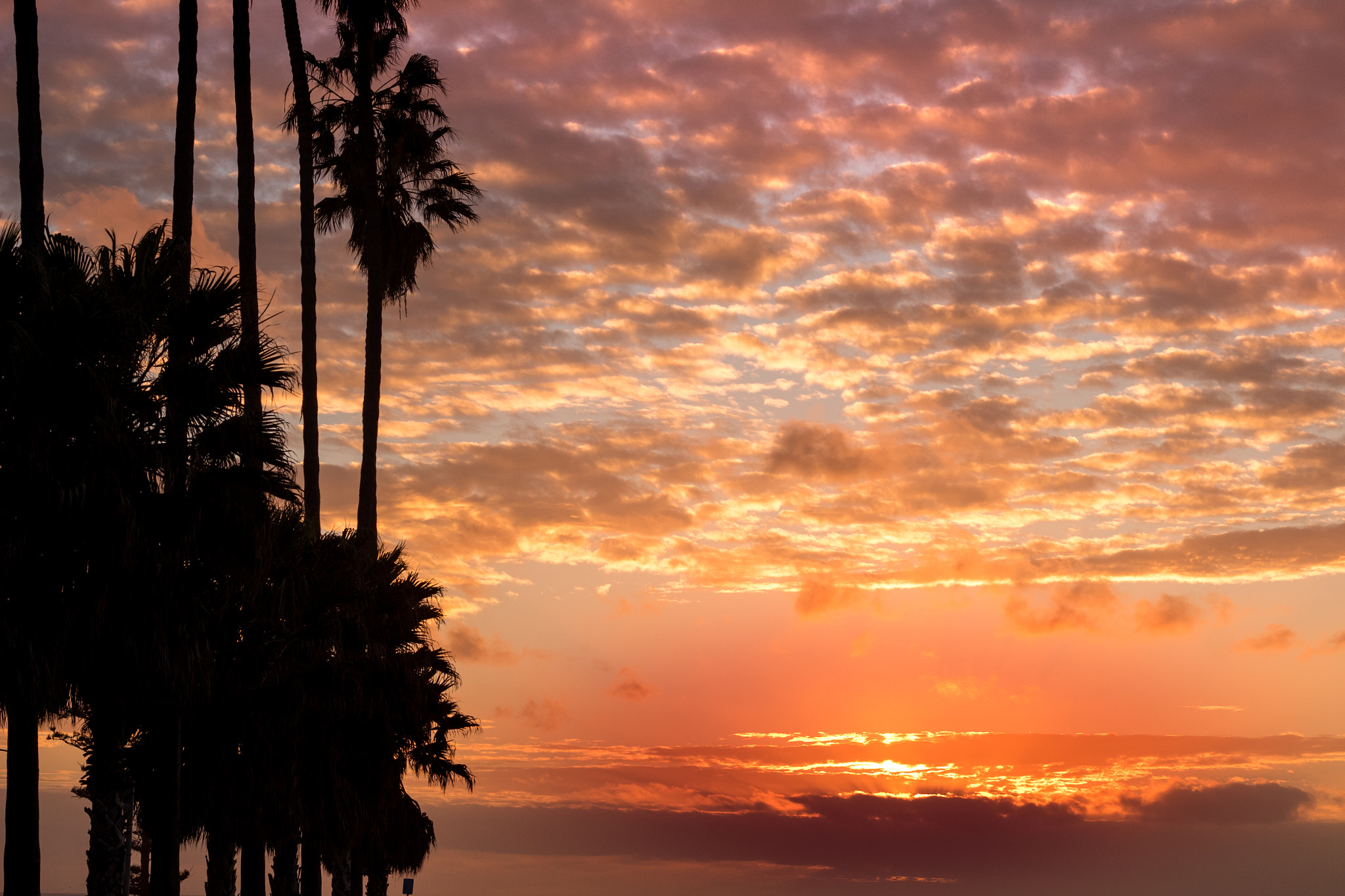 Canon EOS 1300D (EOS Rebel T6 / EOS Kiss X80) sample photo. La jolla sunset photography