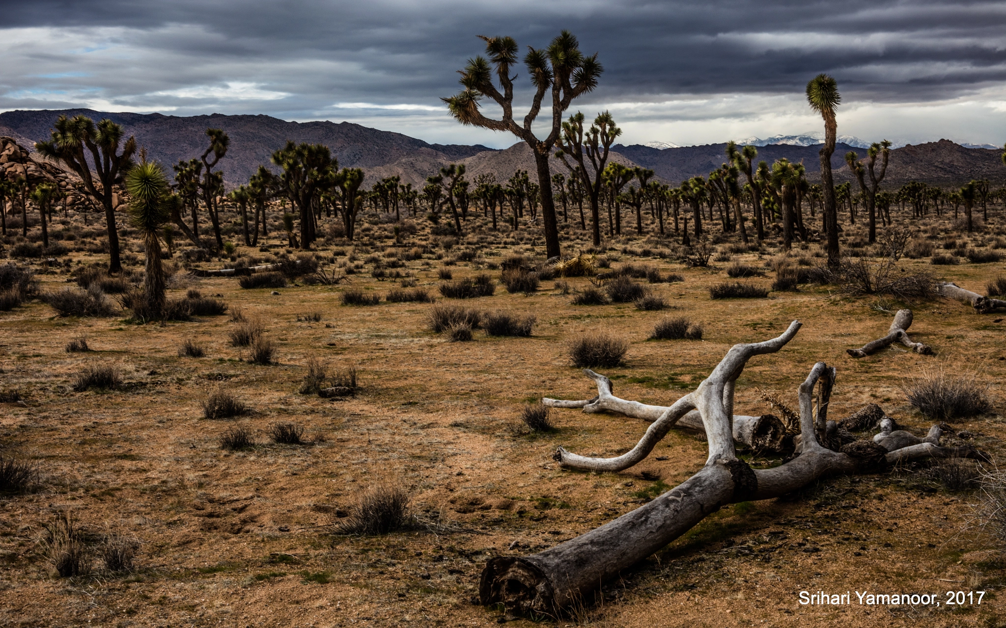 Canon EOS 5DS R sample photo. Clouds in the desert photography
