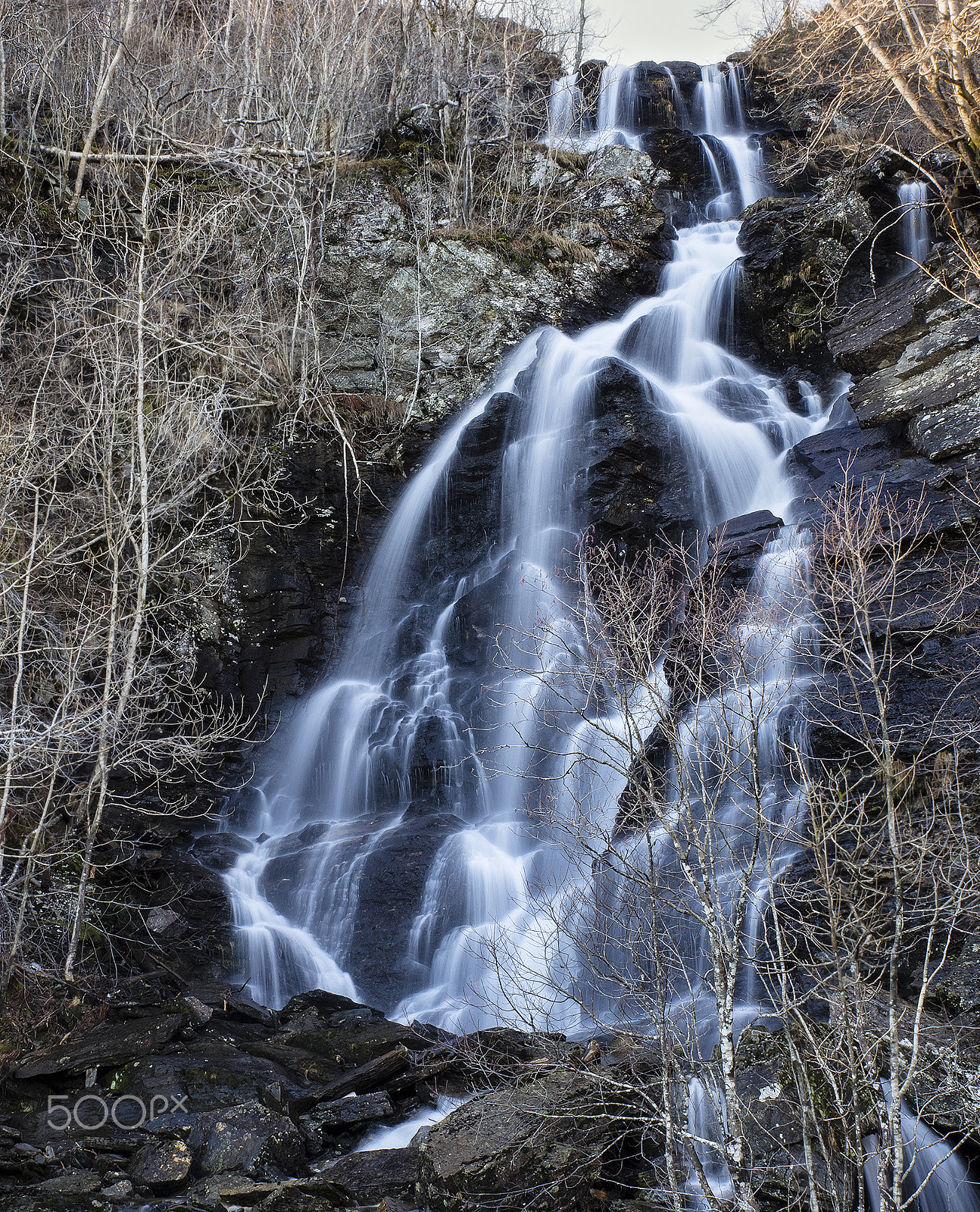 Sony a99 II + Tamron SP 24-70mm F2.8 Di VC USD sample photo. Stream photography