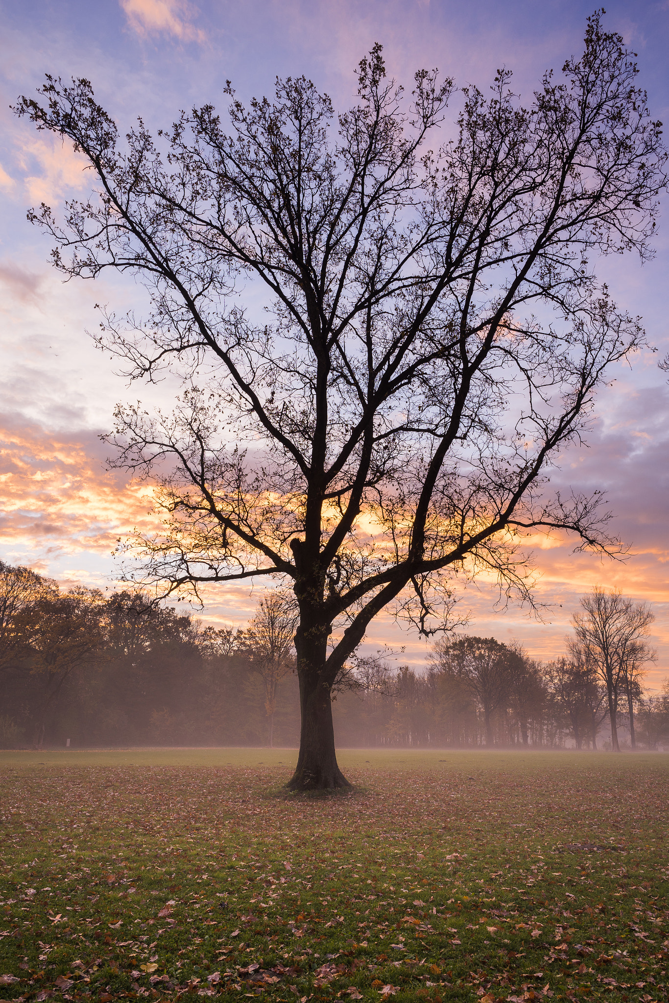 Sony a7 II sample photo. Lonely photography