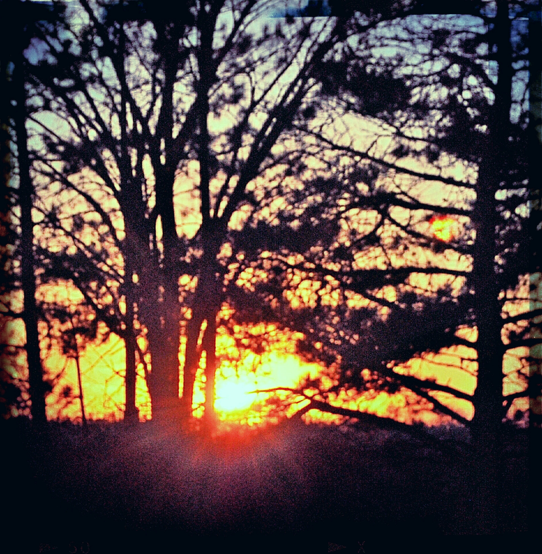 Nikon D80 sample photo. Dusk in michigan photography